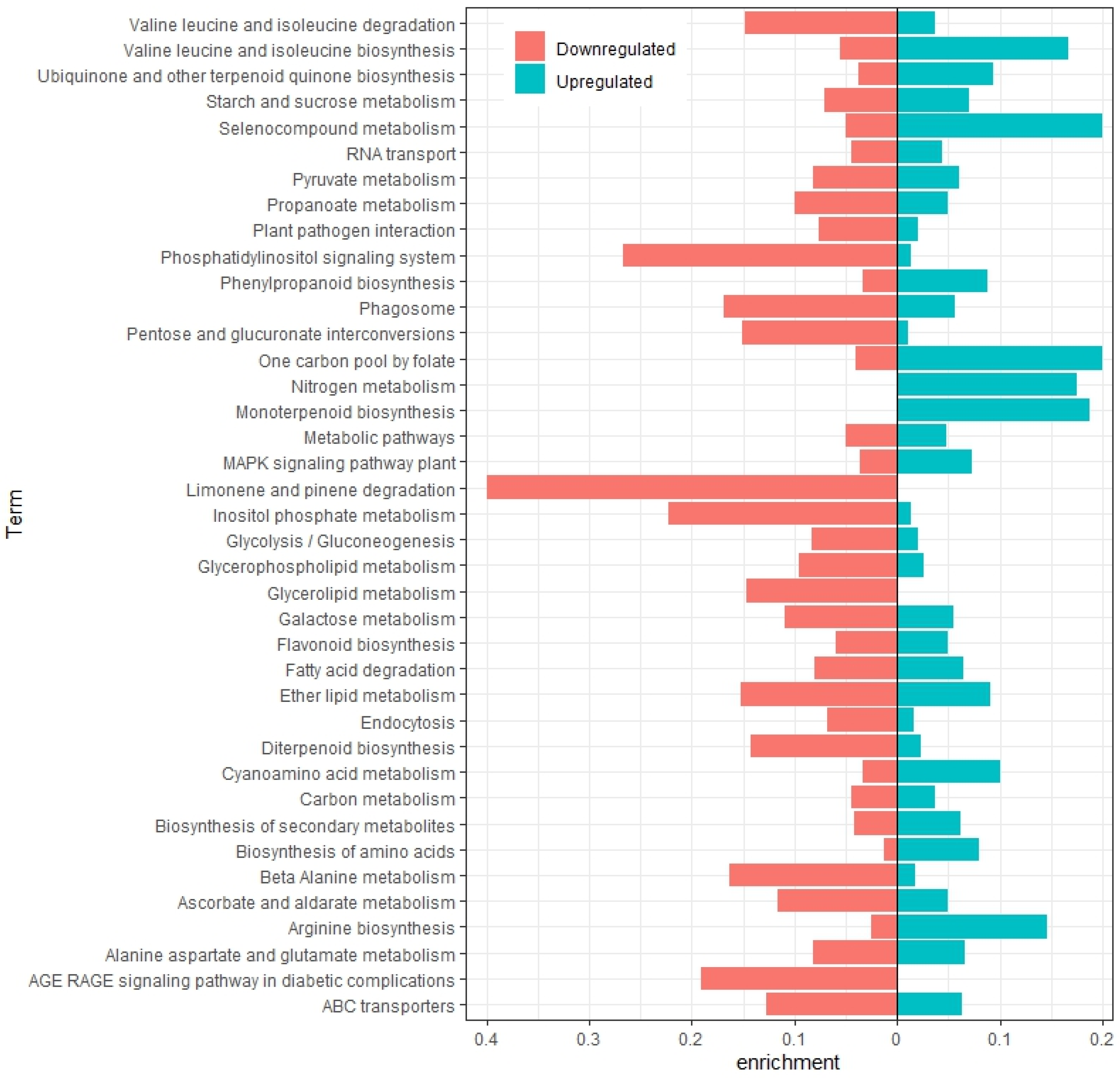 Plants 13 01443 g002