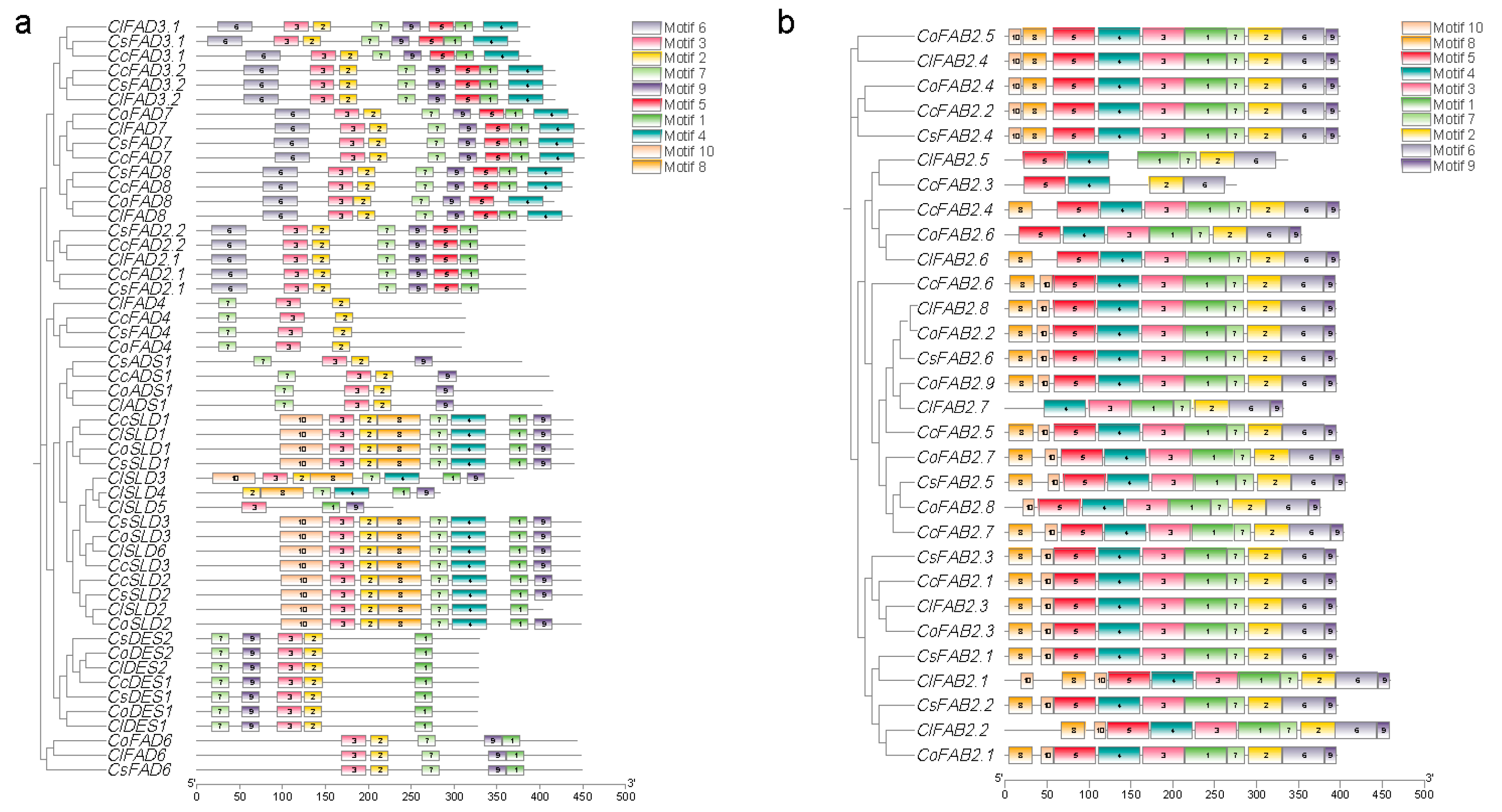 Plants 13 01444 g002