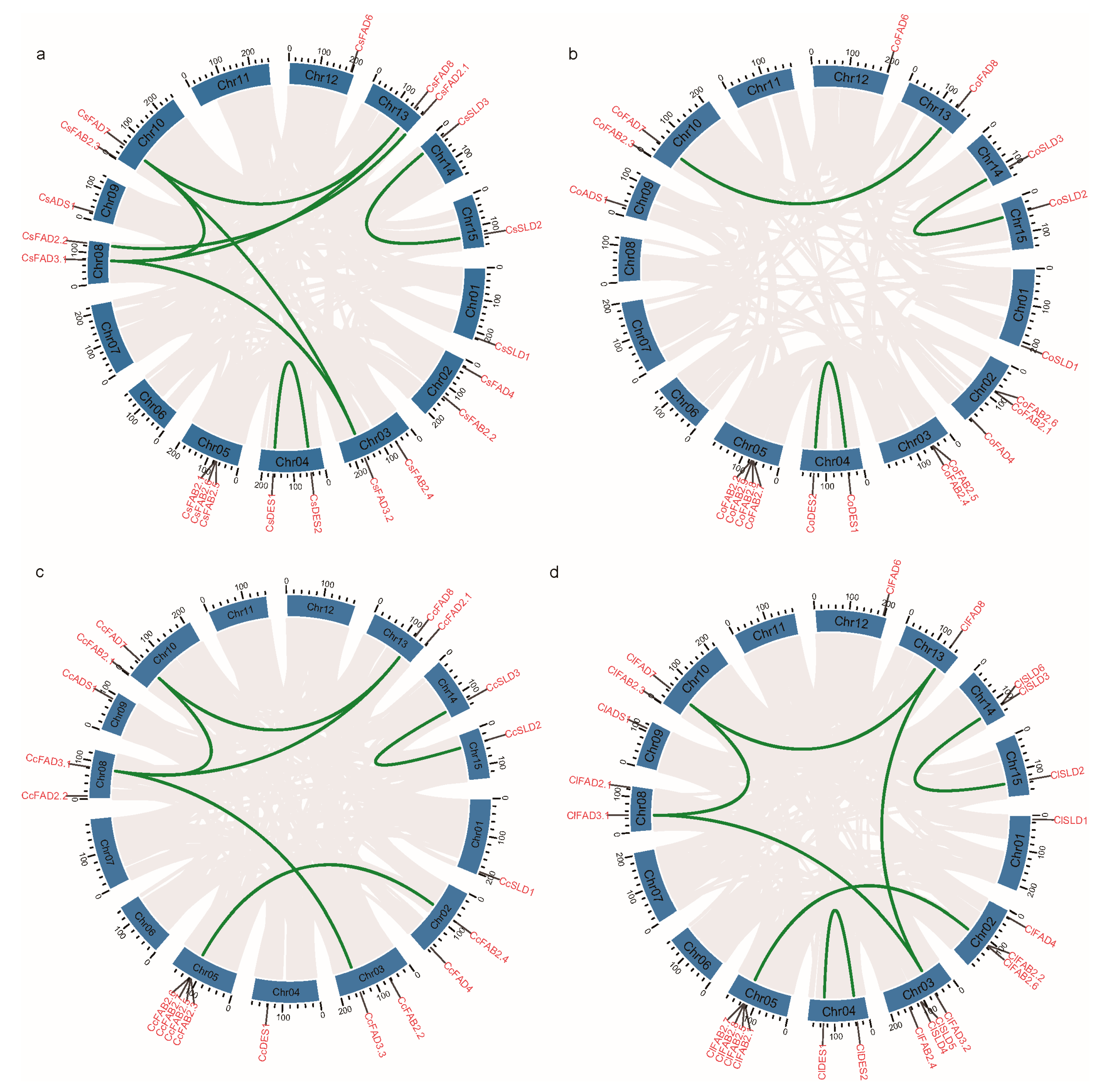 Plants 13 01444 g004