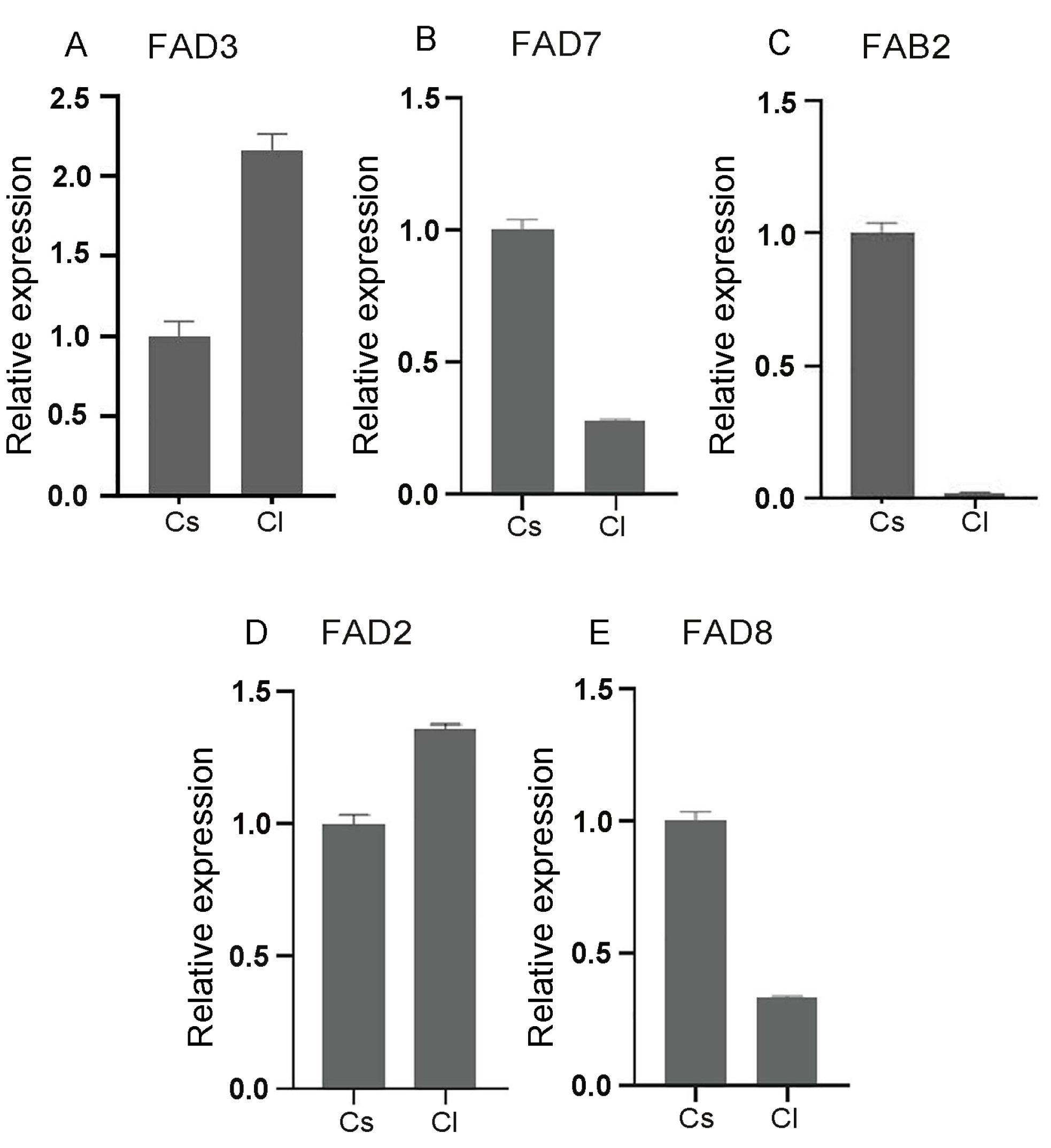 Plants 13 01444 g006