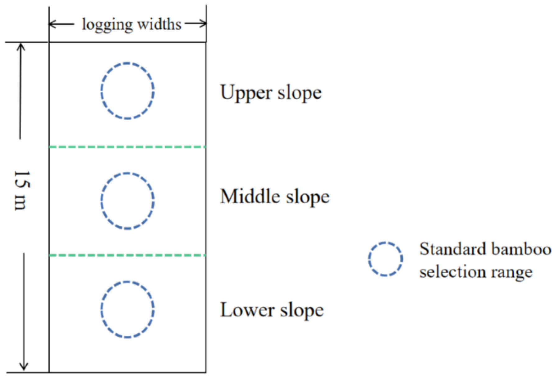 Plants 13 01448 g002