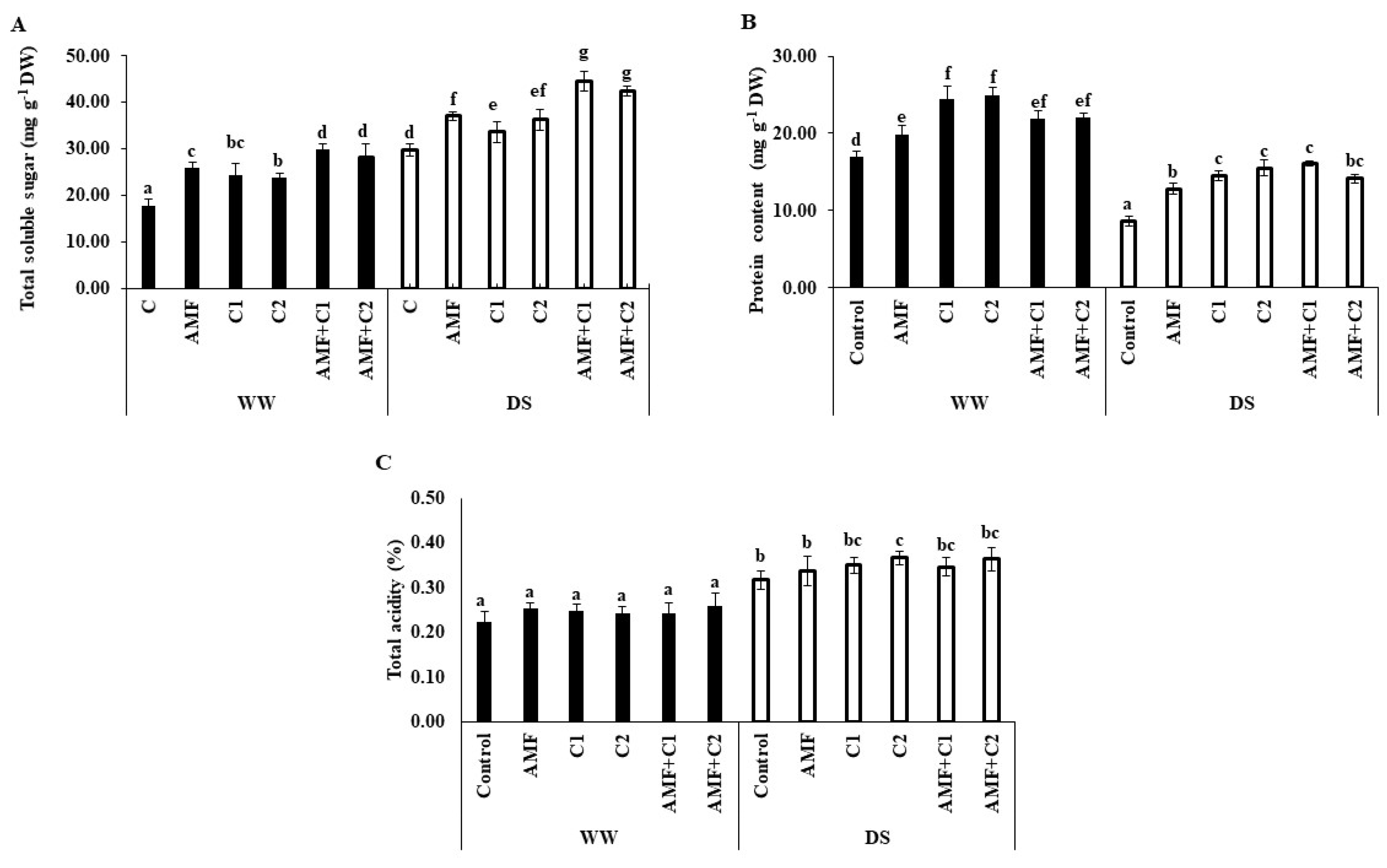 Plants 13 01449 g001