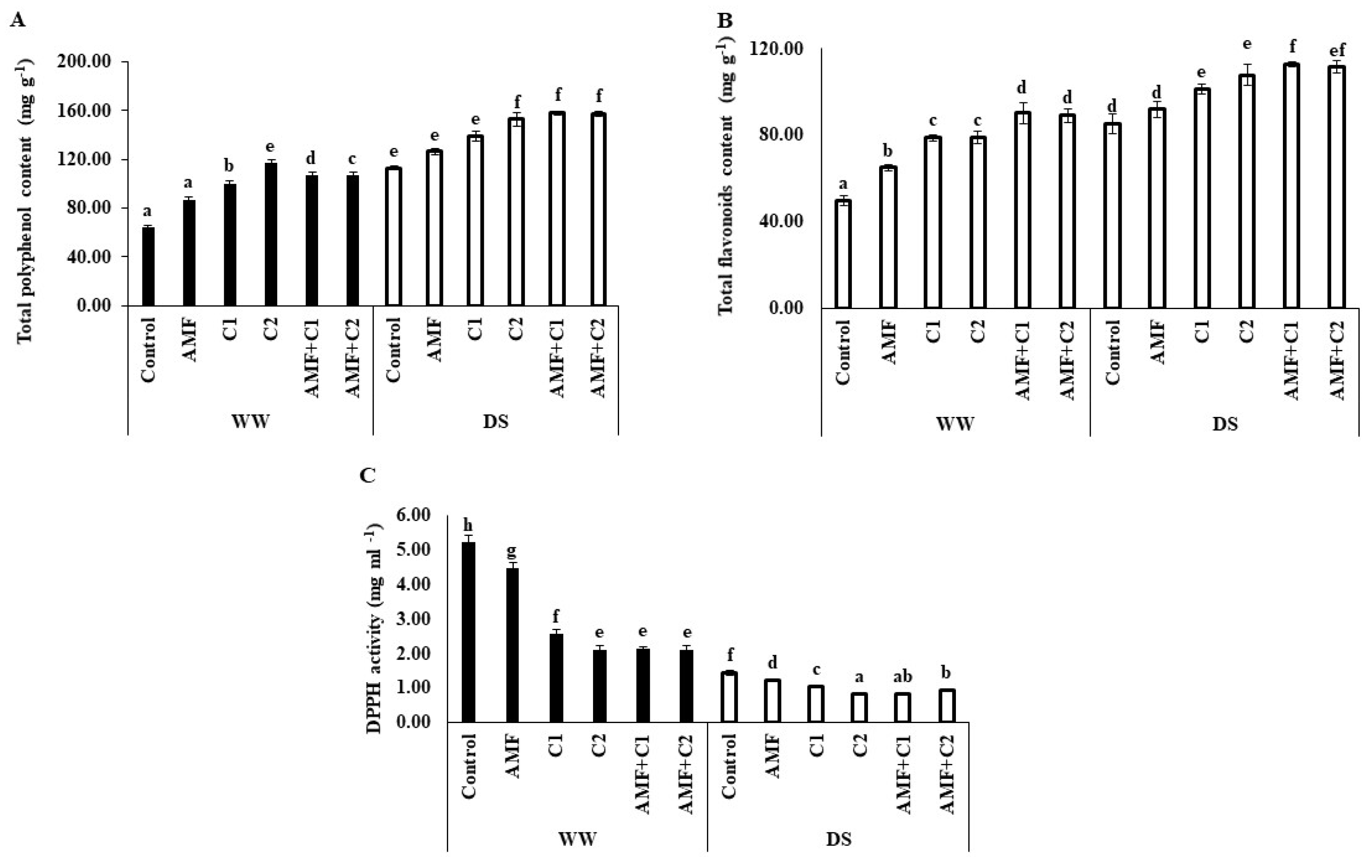 Plants 13 01449 g004