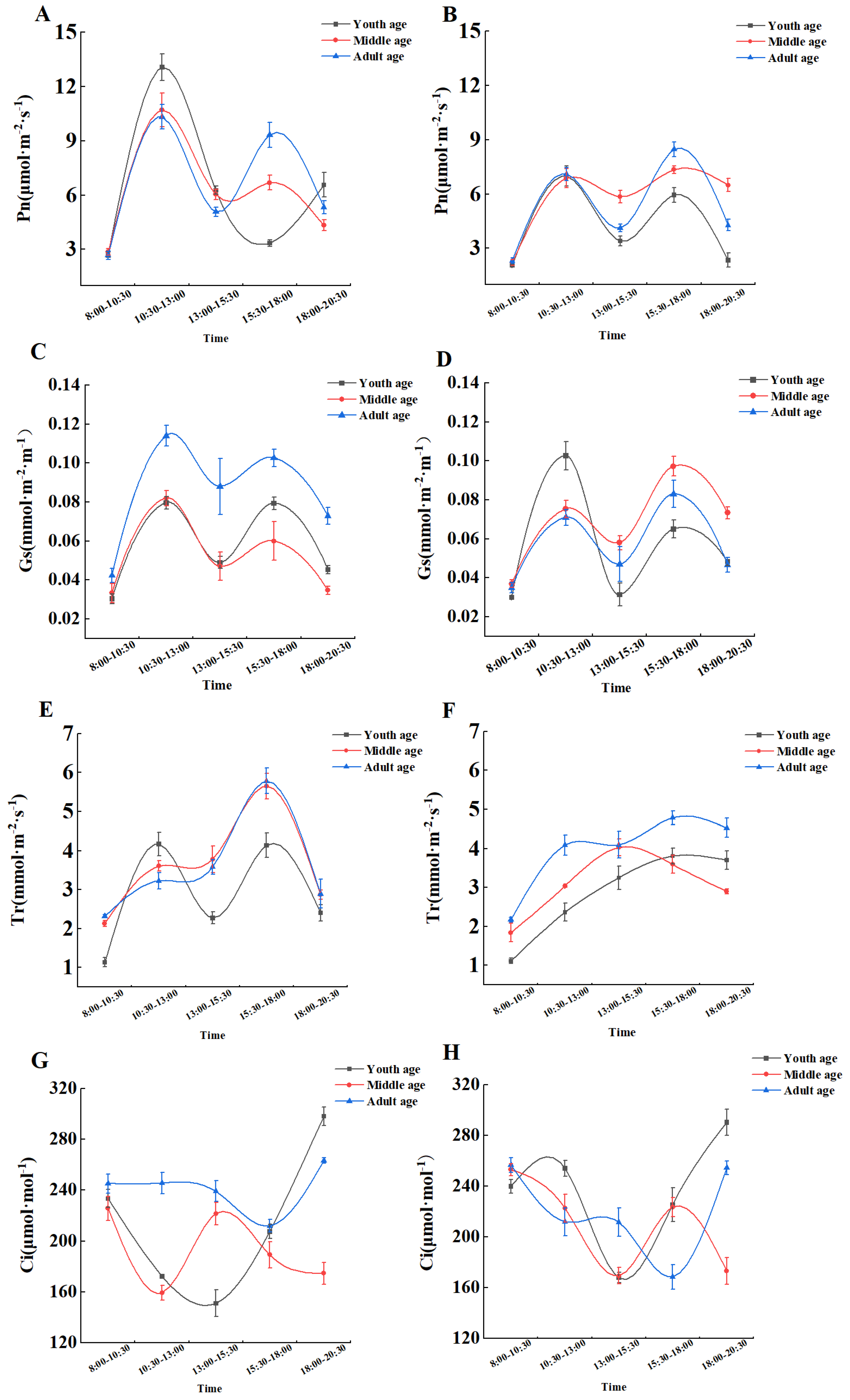 Plants 13 01457 g001