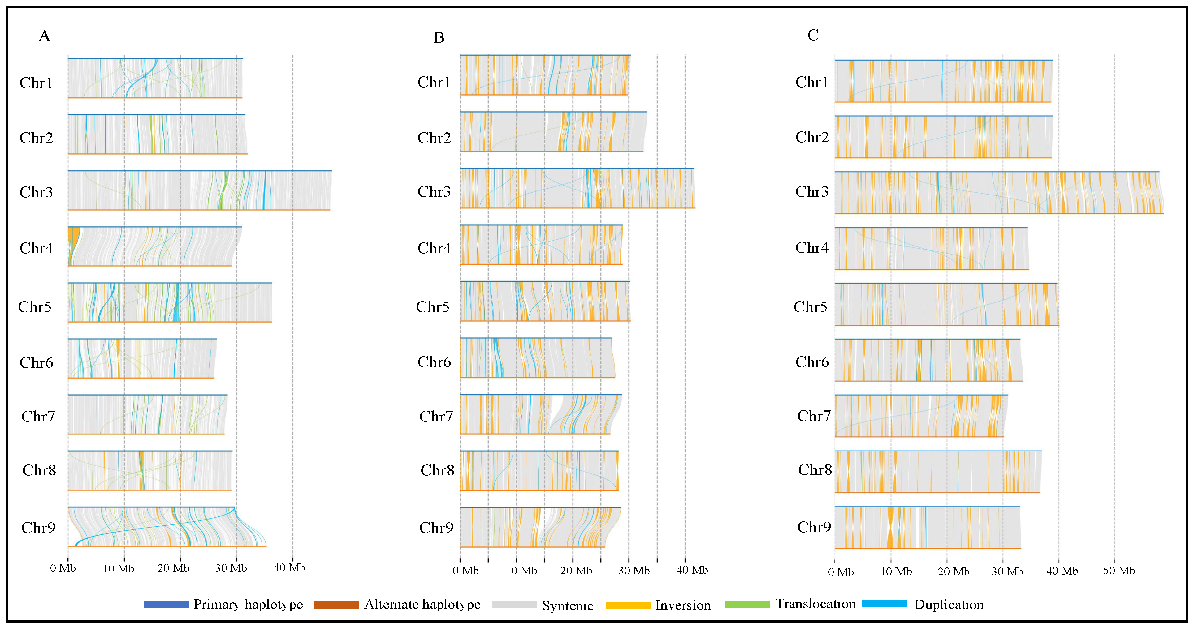 Plants 13 01460 g002