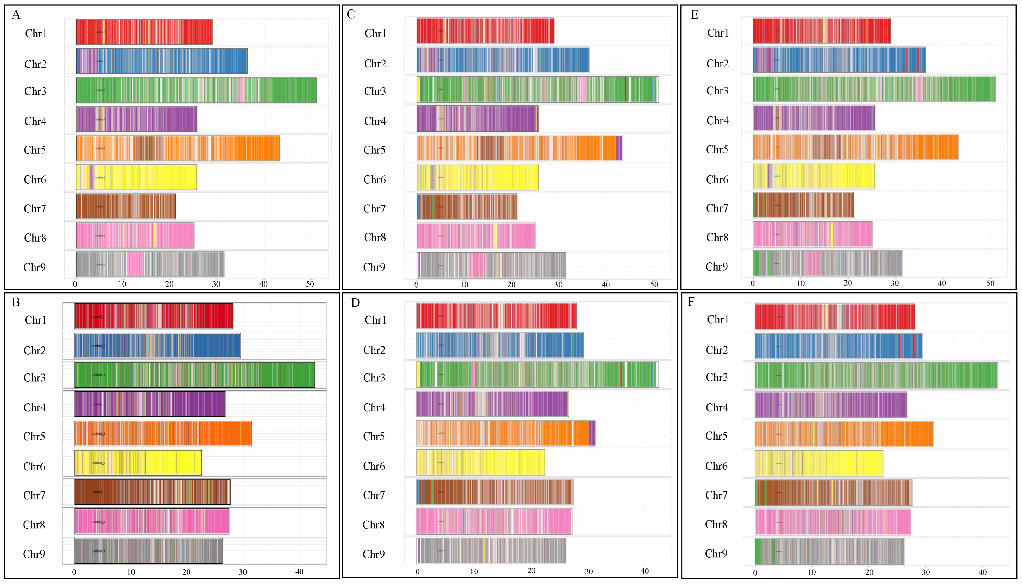 Plants 13 01460 g003