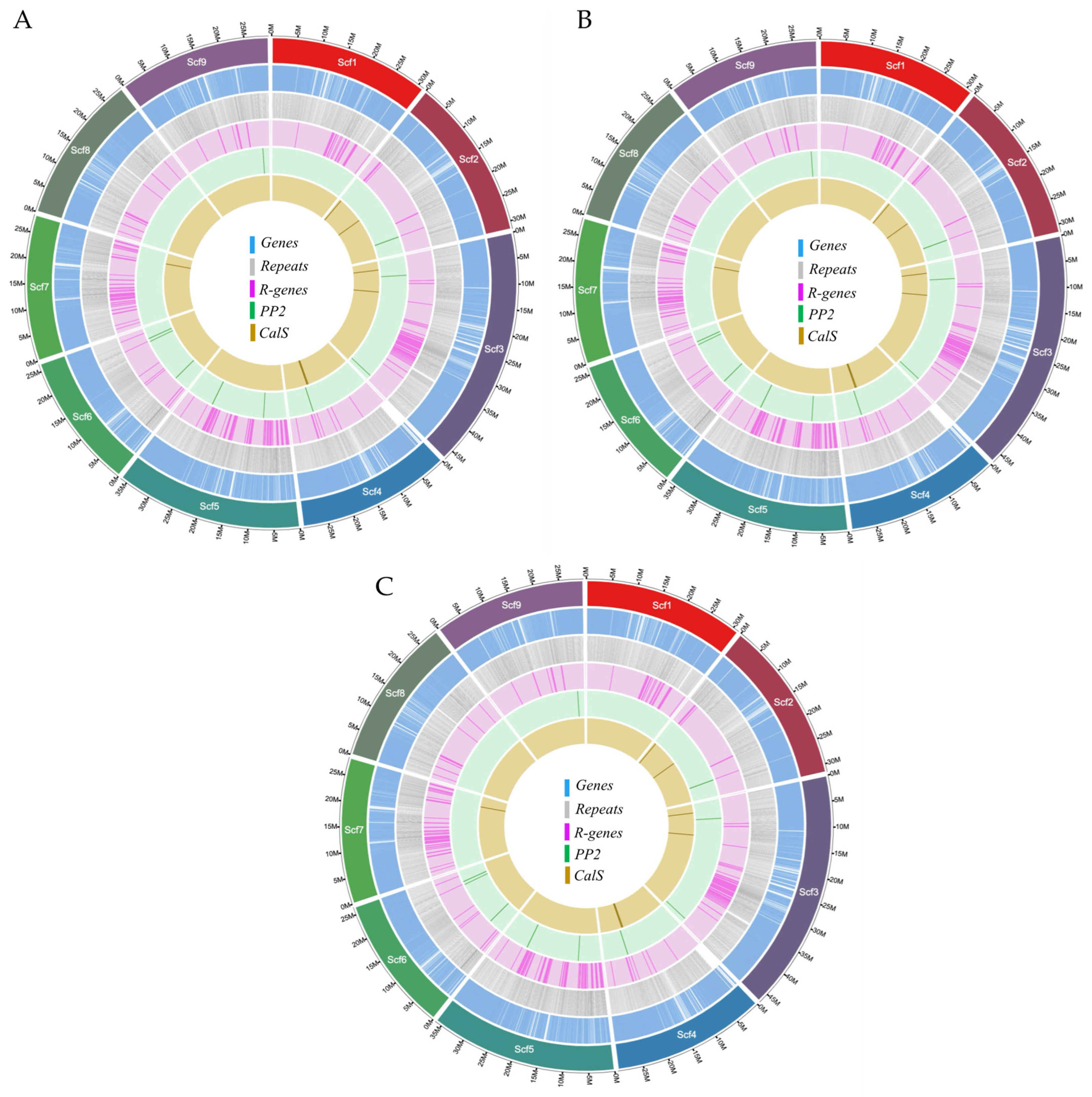 Plants 13 01460 g004