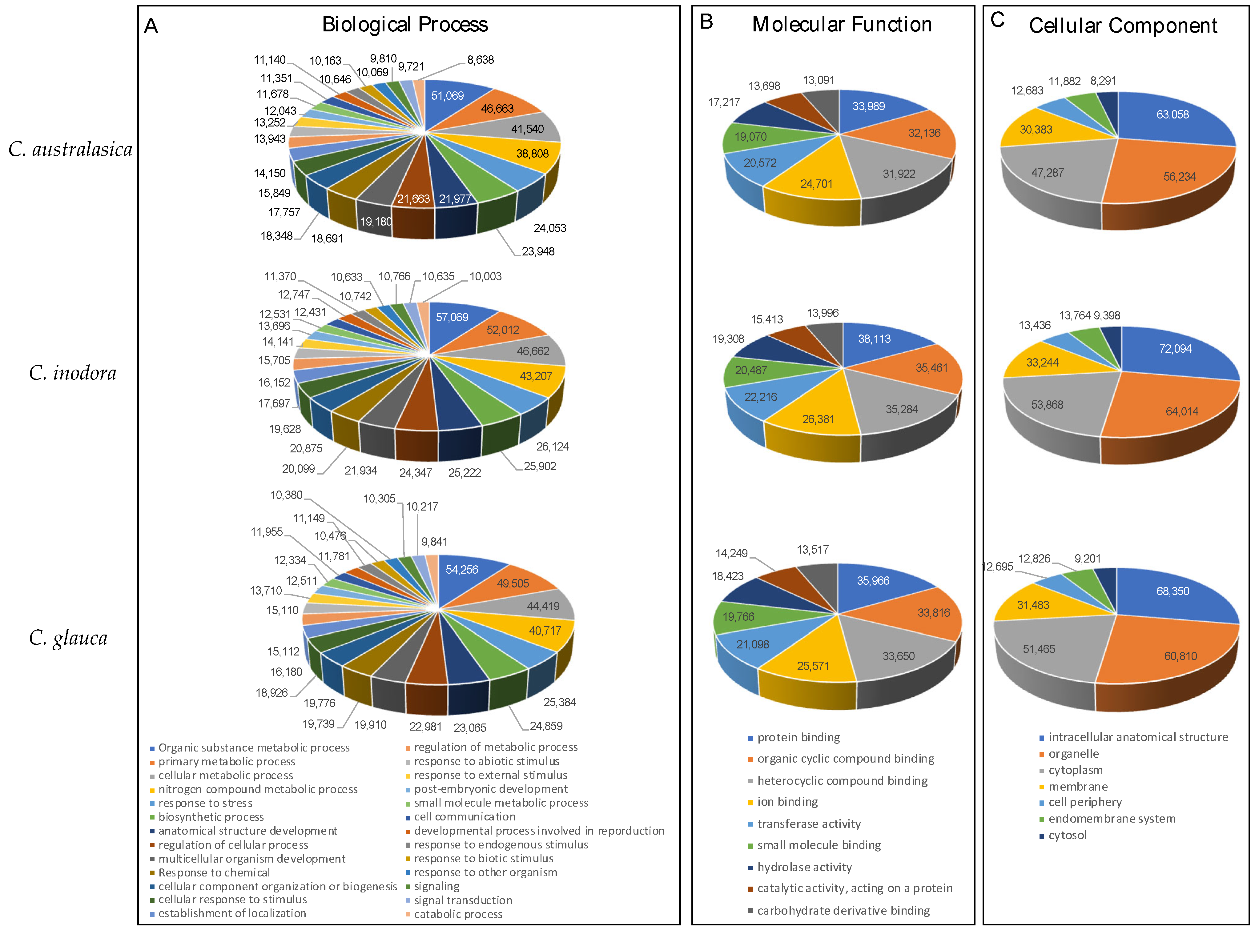 Plants 13 01460 g007