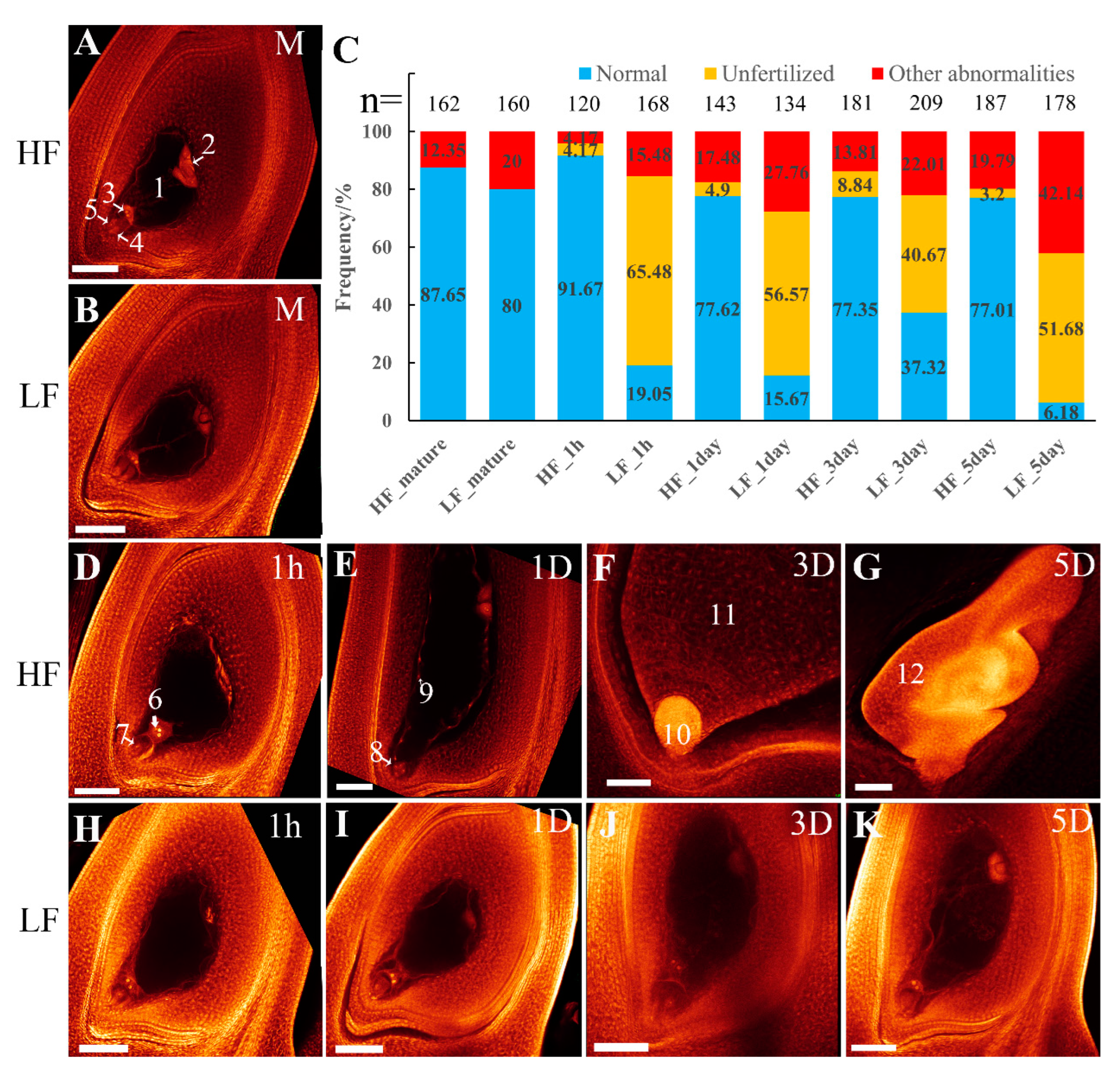 Plants 13 01461 g002