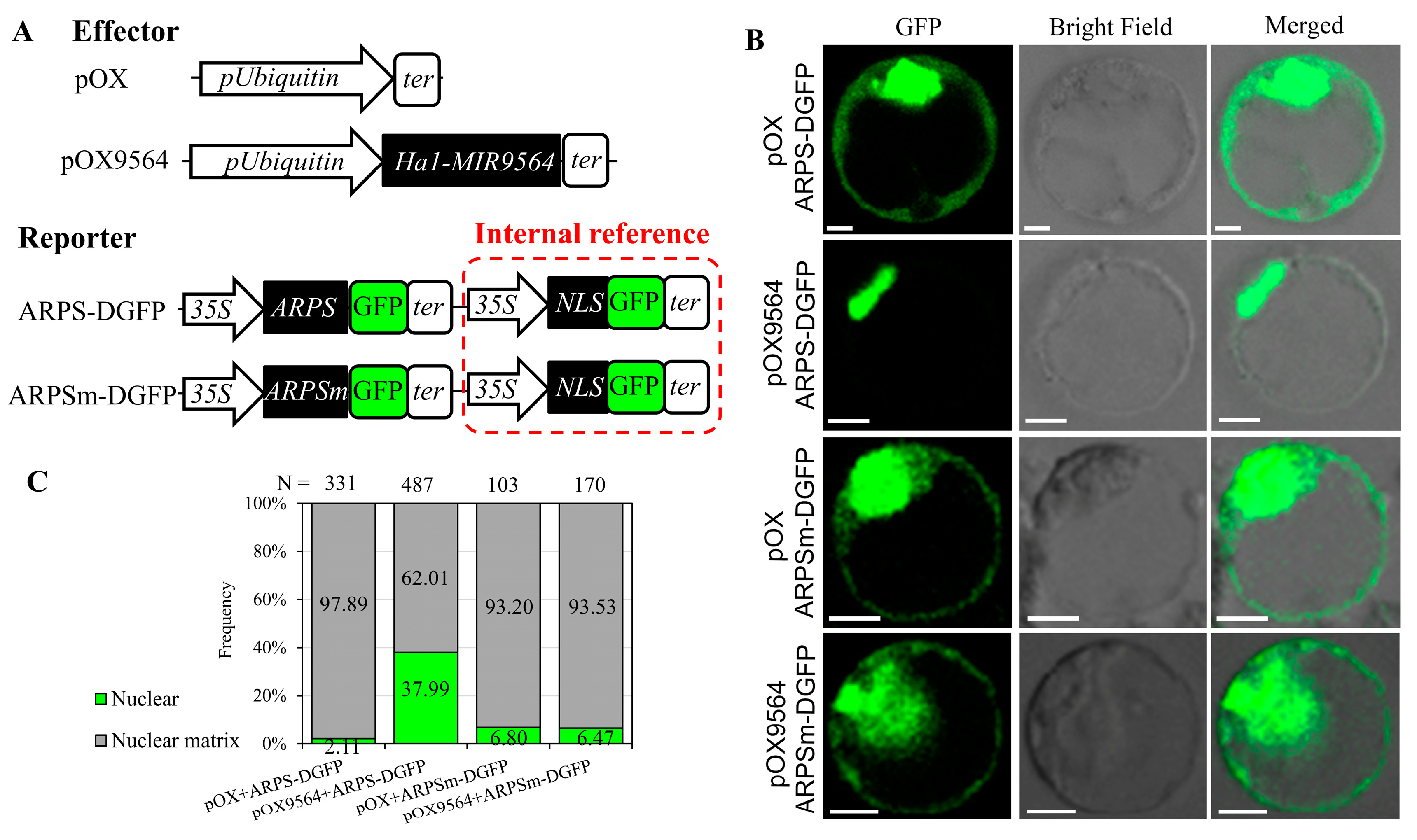 Plants 13 01461 g008