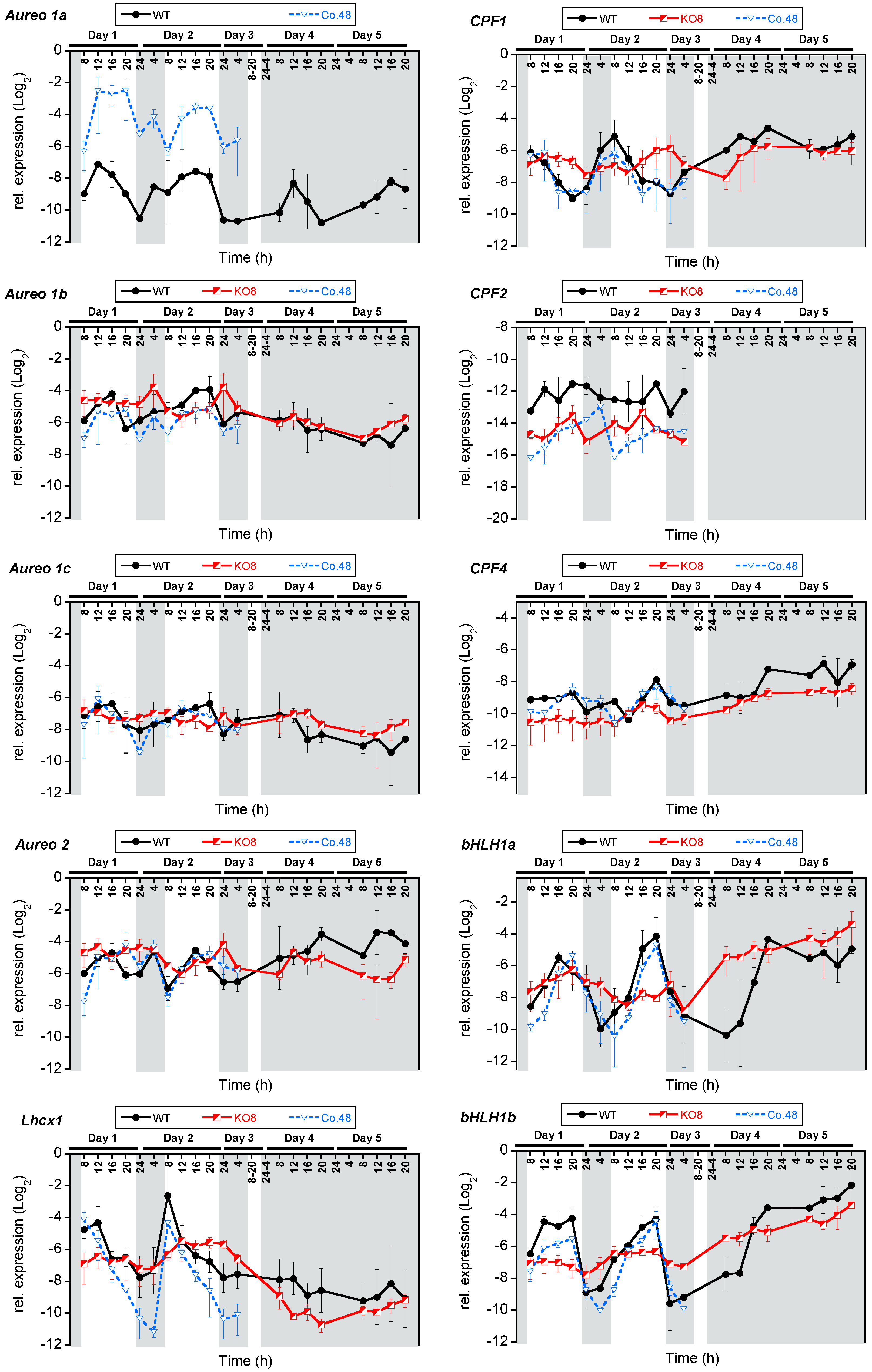Plants 13 01465 g002