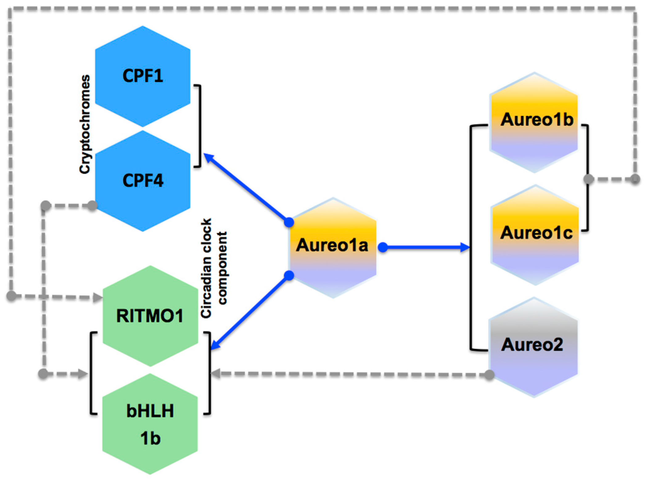 Plants 13 01465 g005