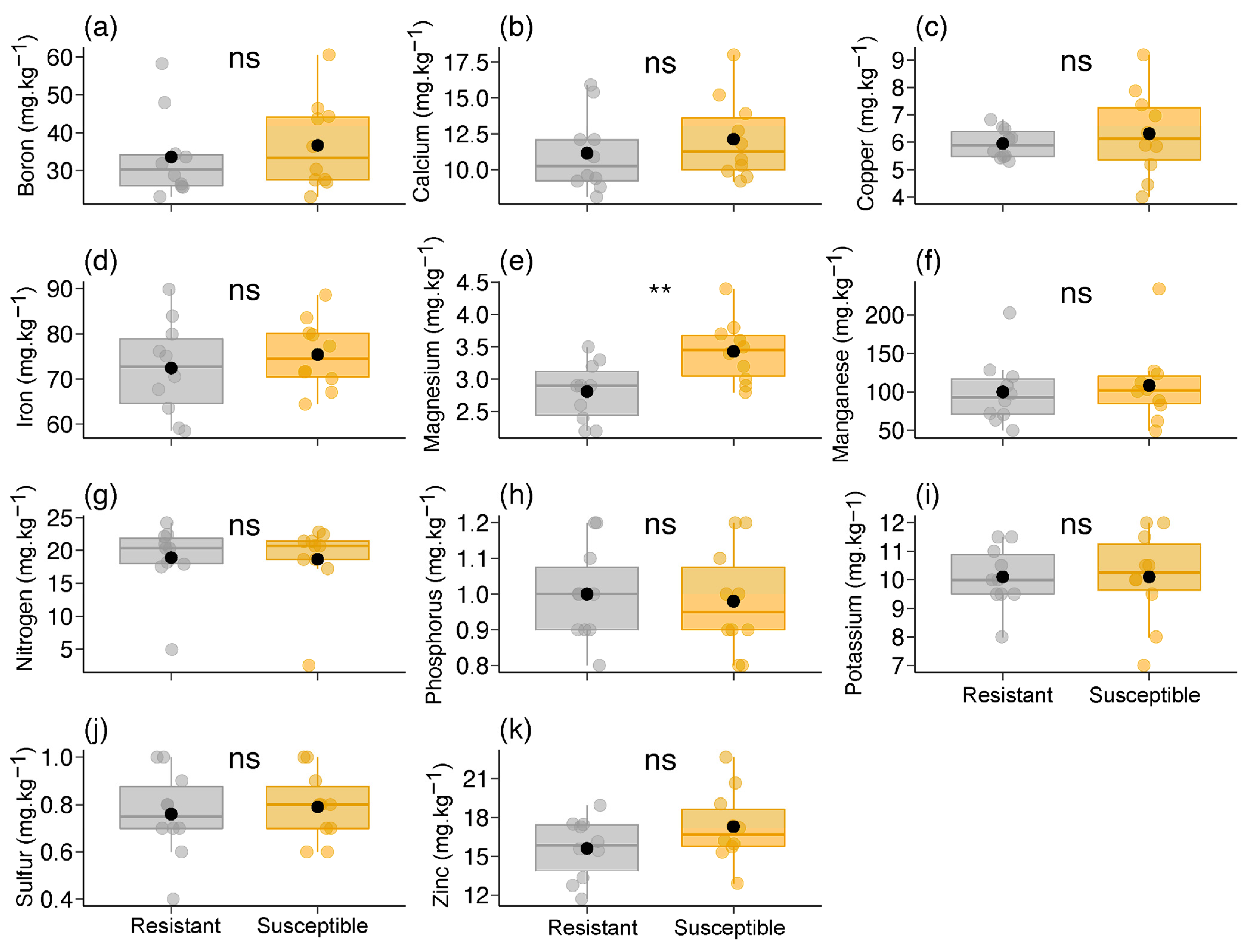 Plants 13 01472 g002