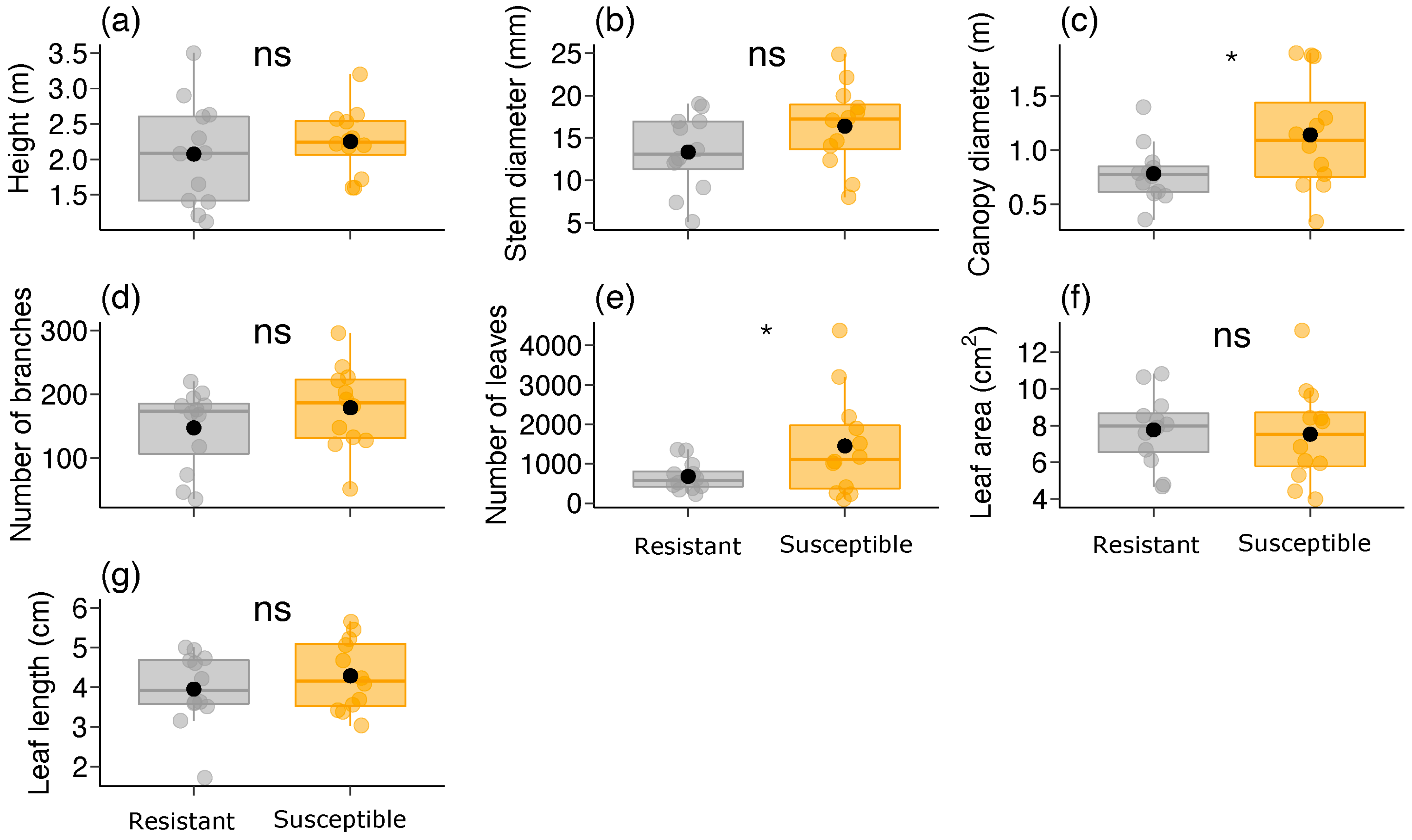 Plants 13 01472 g003