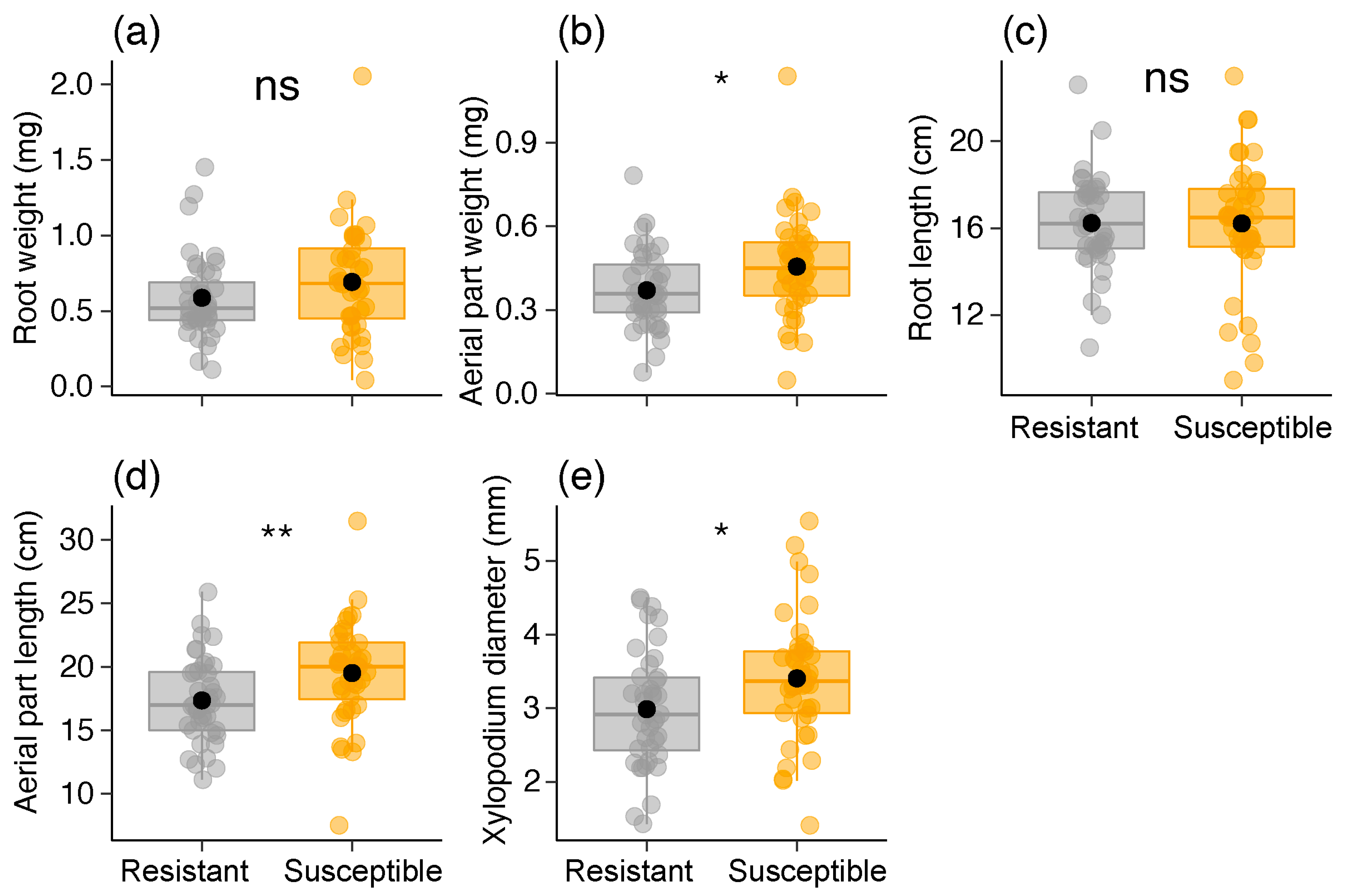 Plants 13 01472 g007