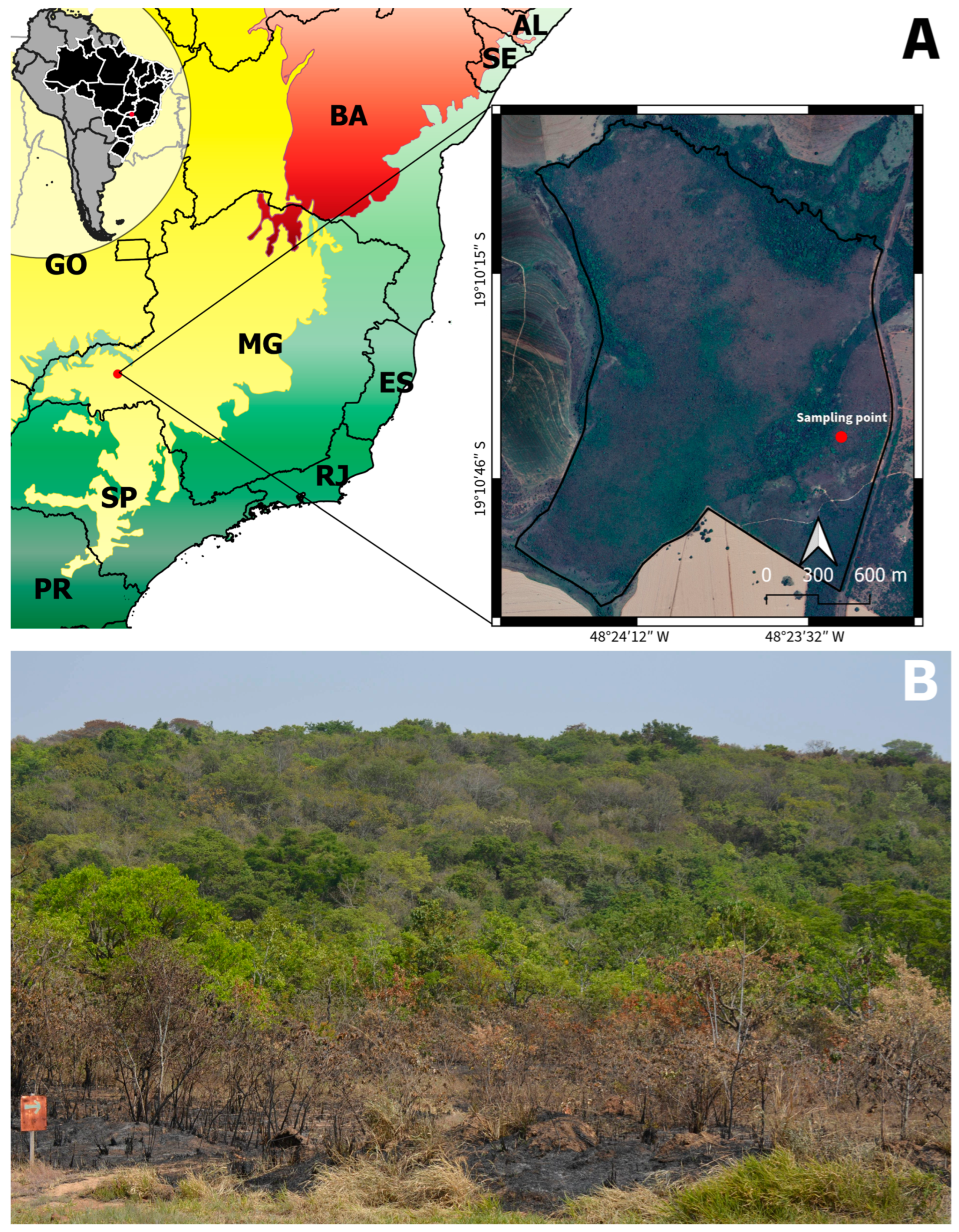 Plants 13 01472 g009