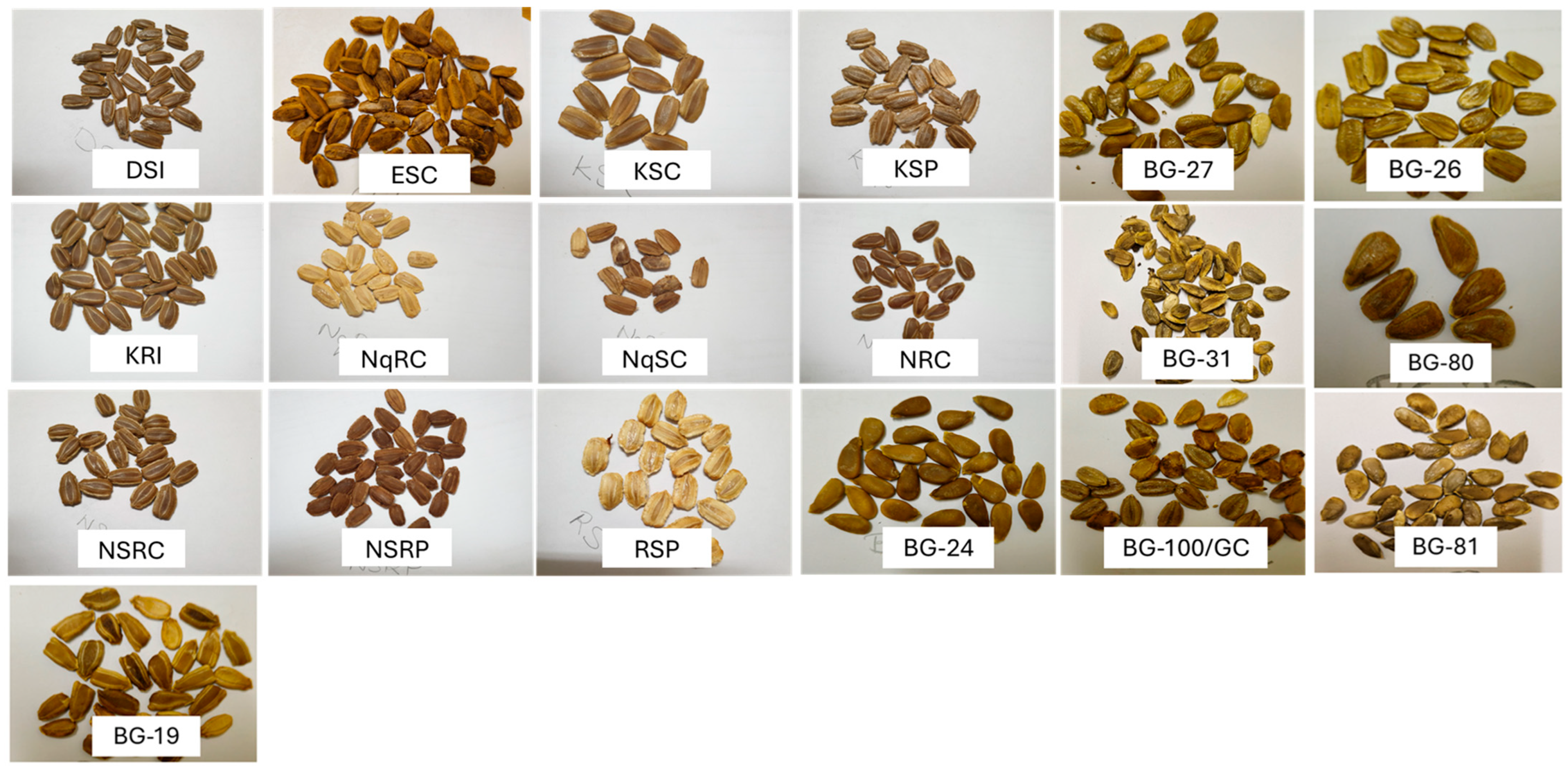 Plants 13 01475 g002