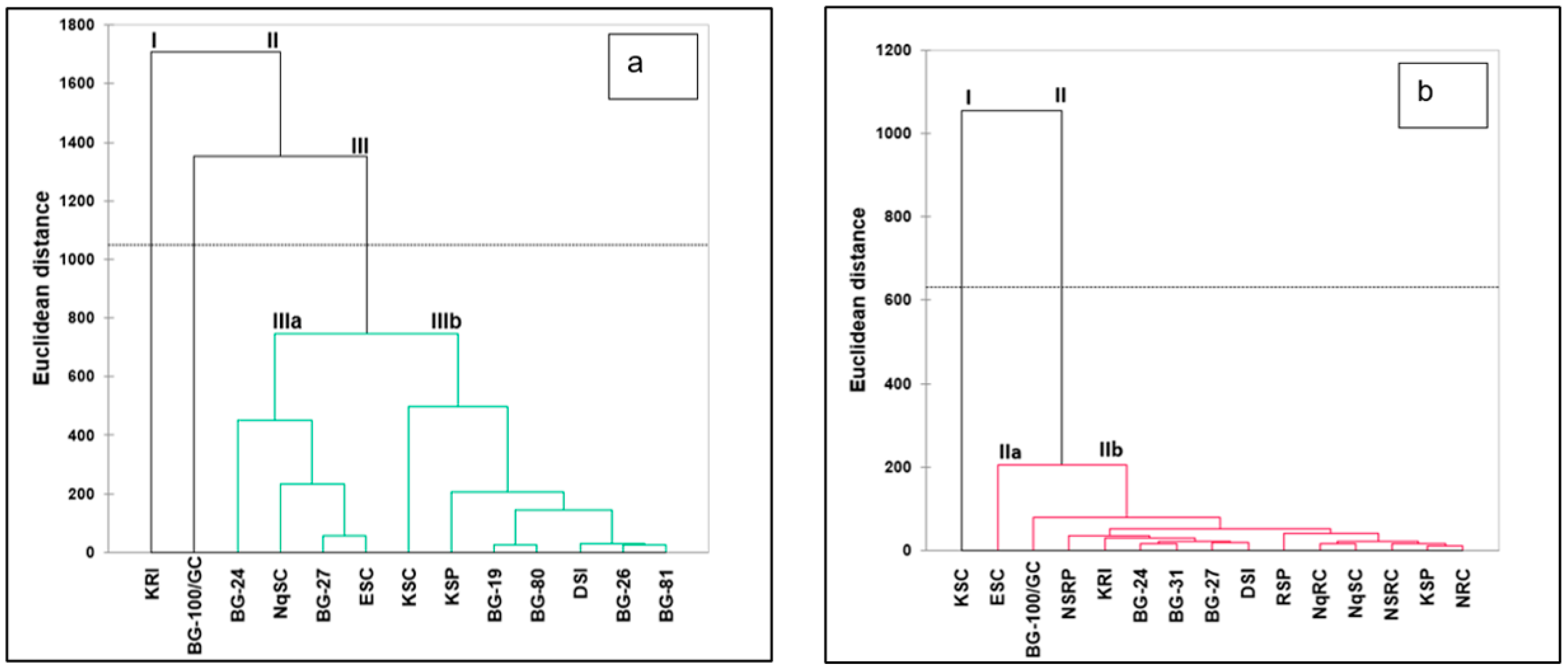 Plants 13 01475 g004