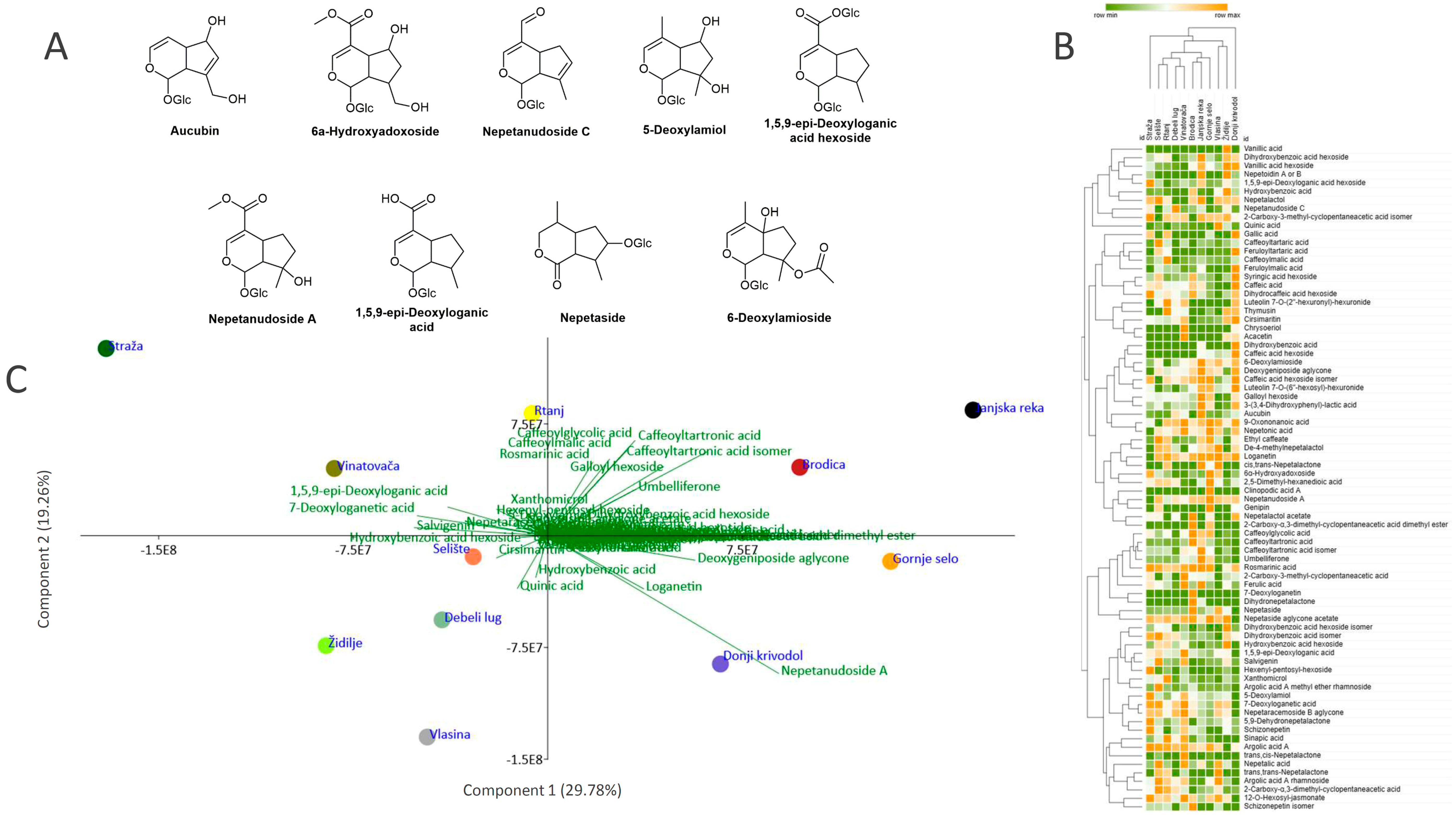Plants 13 01483 g002