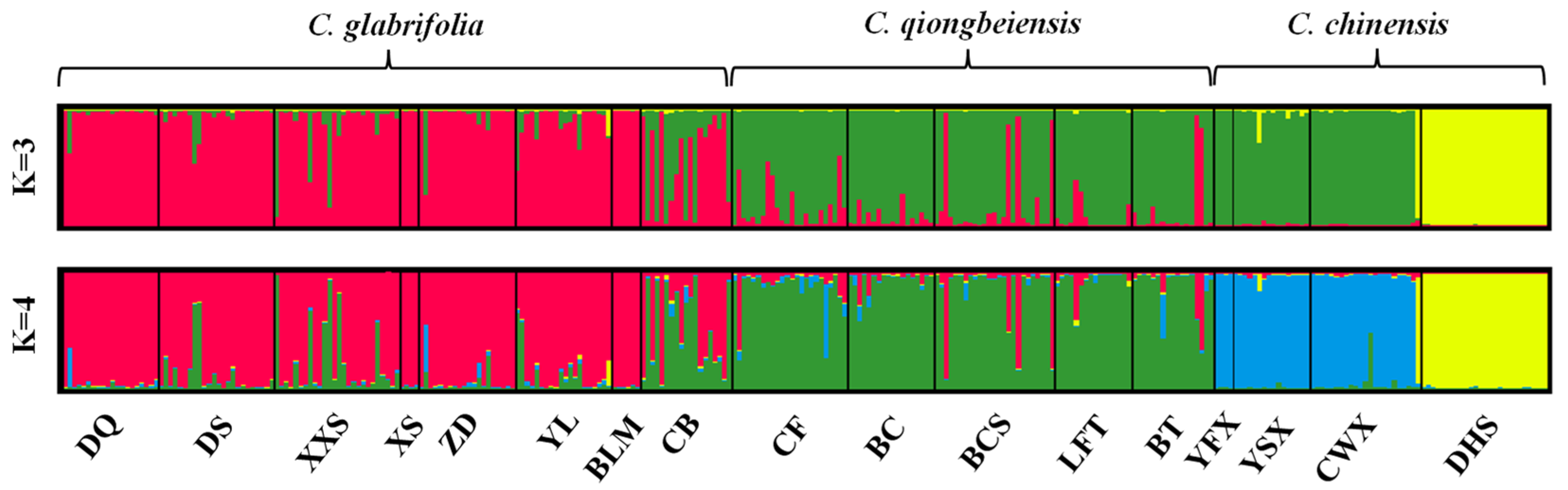 Plants 13 01486 g002