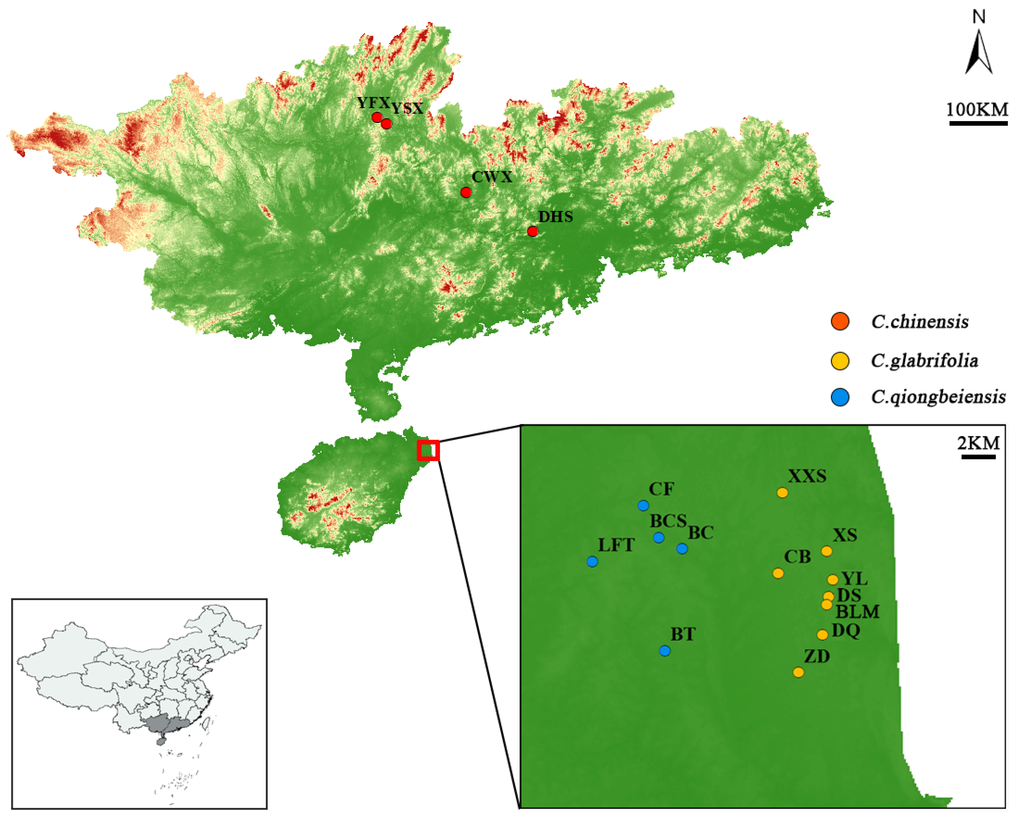 Plants 13 01486 g004