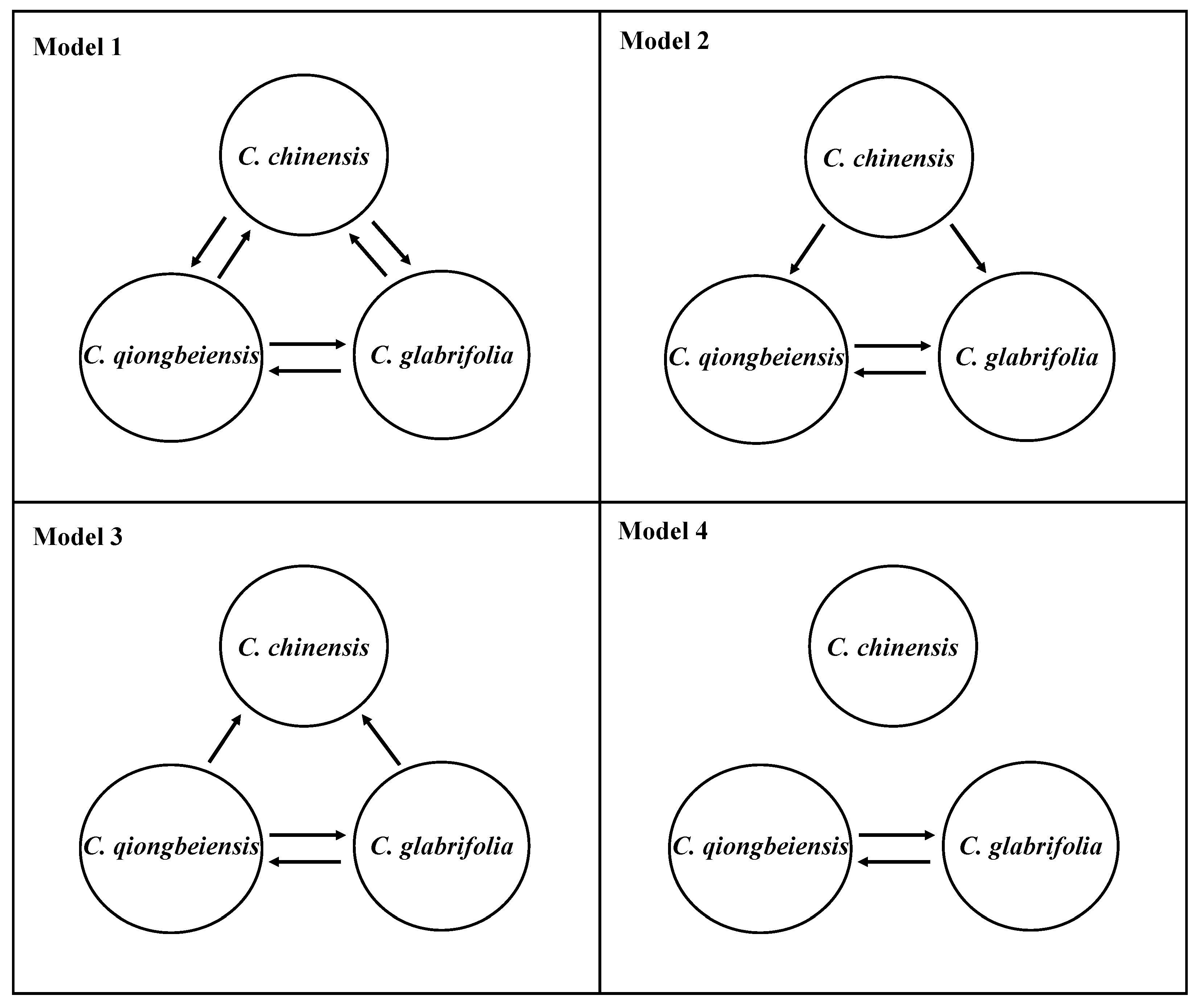 Plants 13 01486 g005