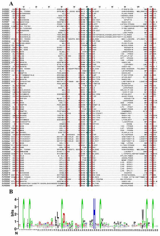 Genome-Wide Identification and Expression Analysis of the PHD Finger ...