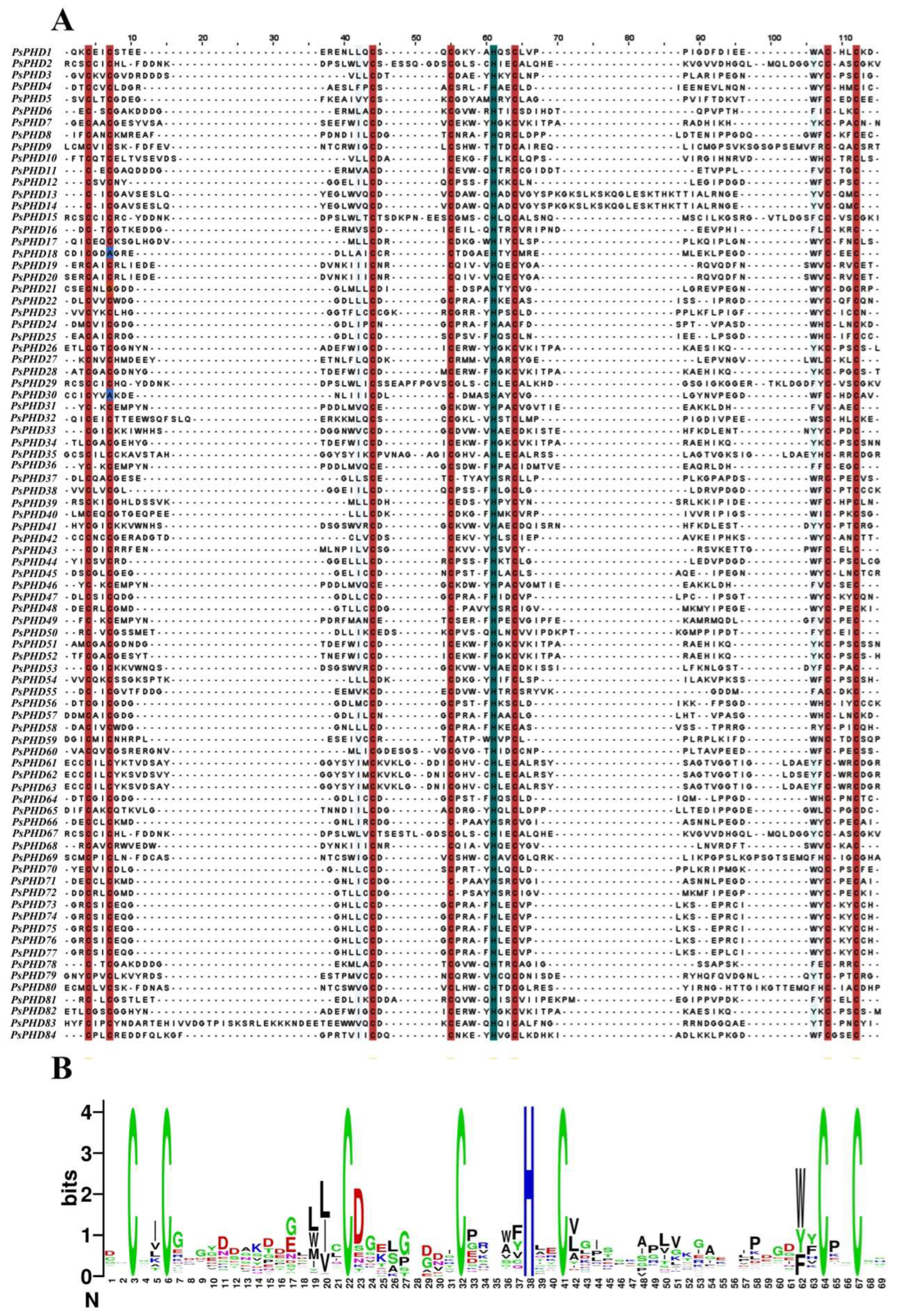 Plants 13 01489 g001