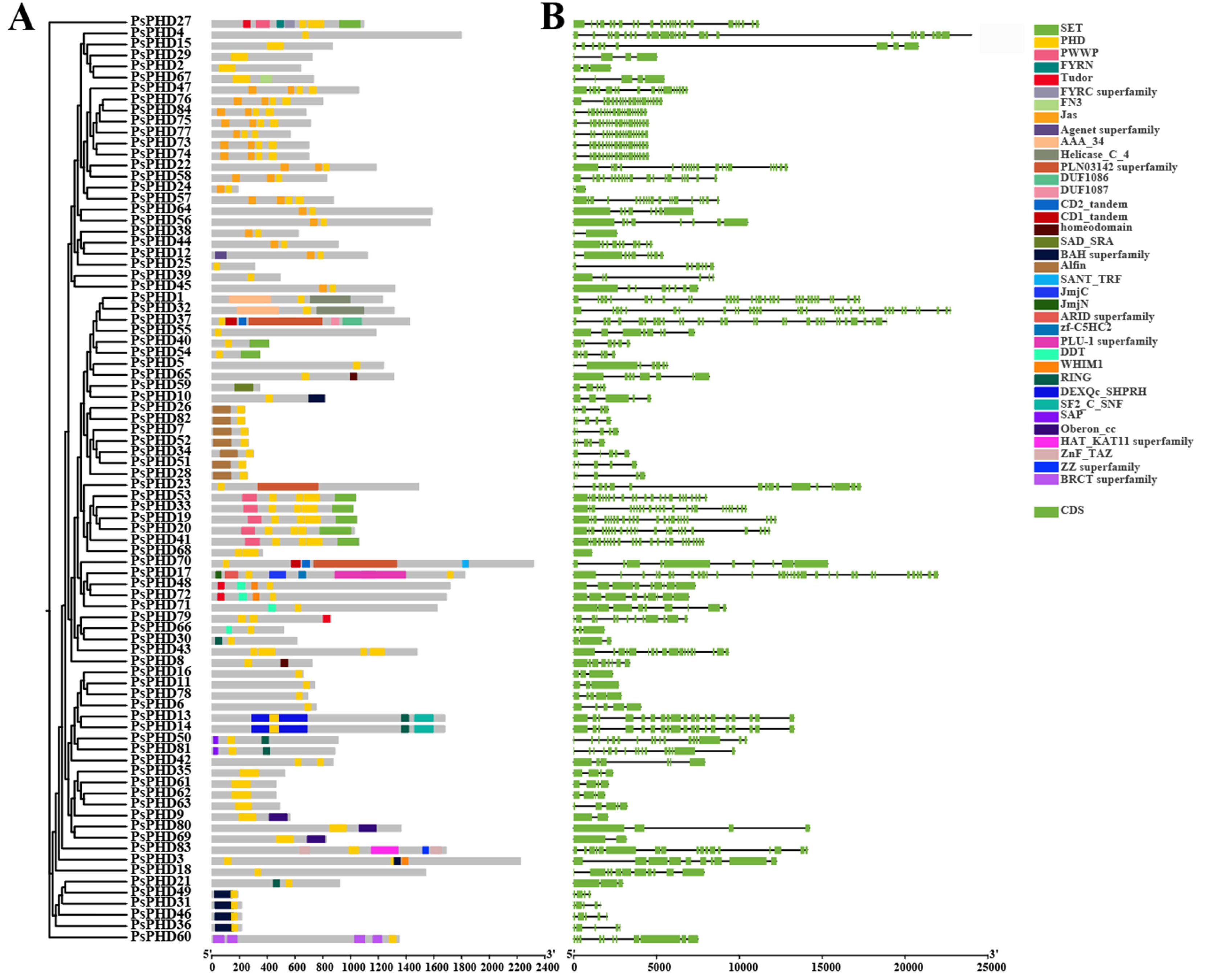 Plants 13 01489 g004