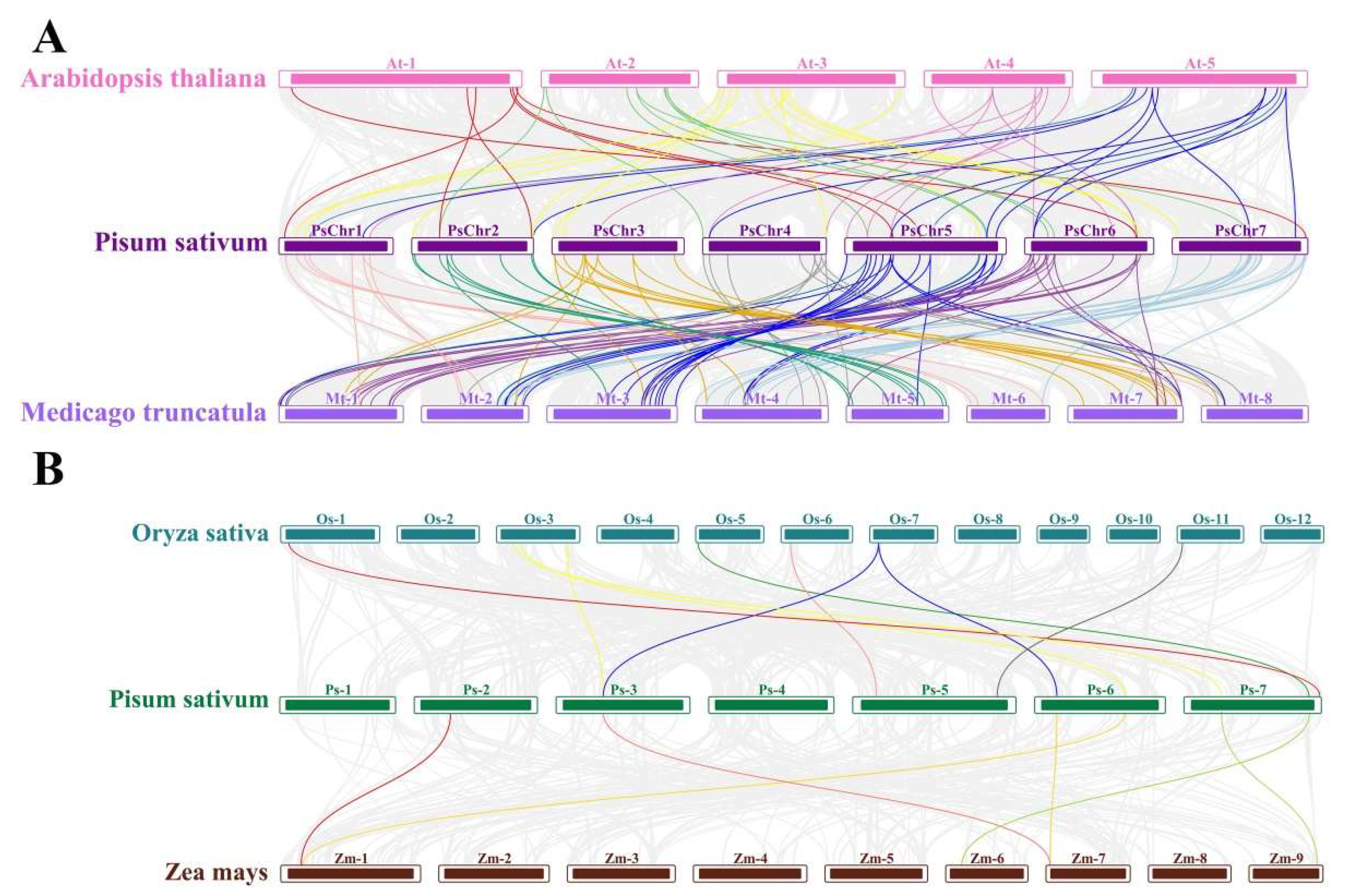 Plants 13 01489 g005