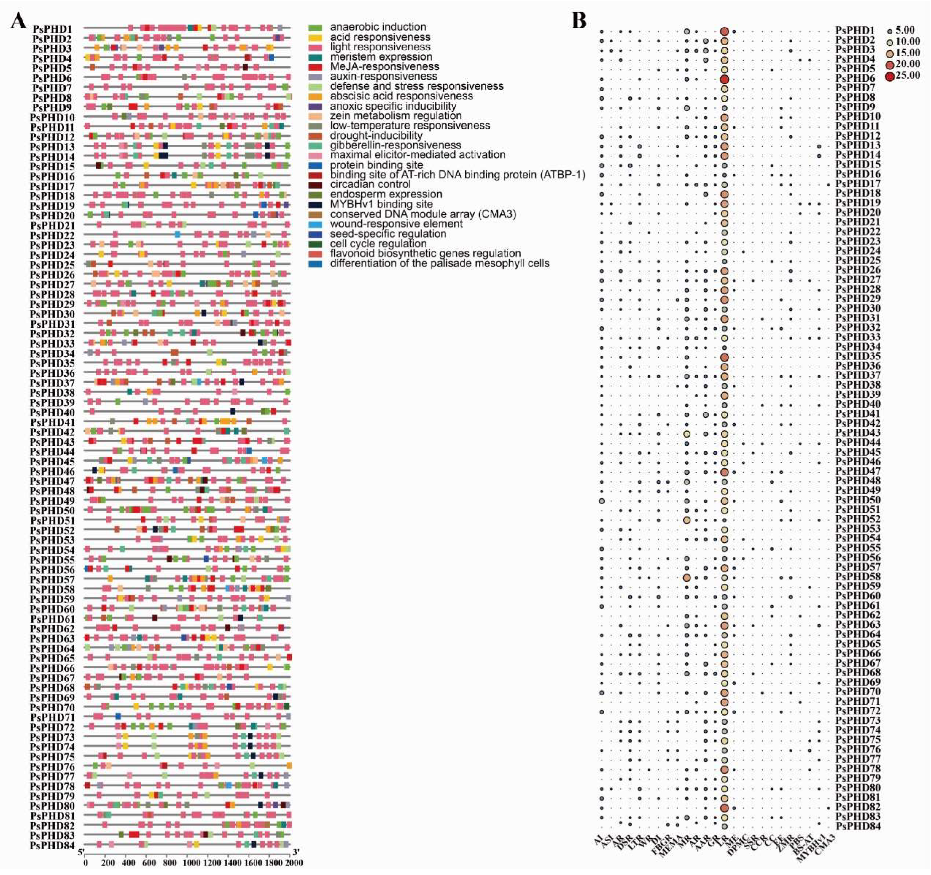 Plants 13 01489 g006