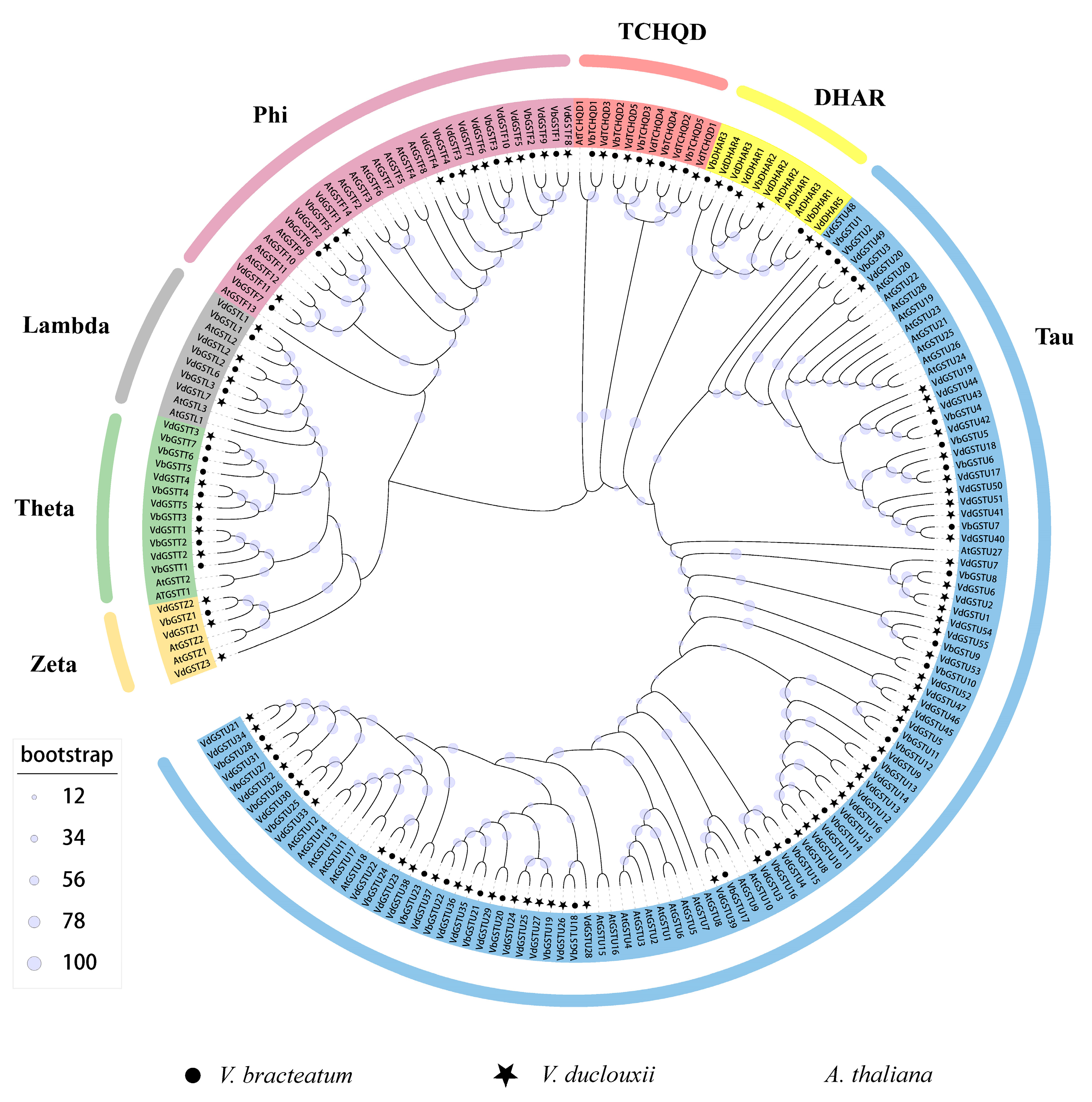 Plants 13 01497 g001