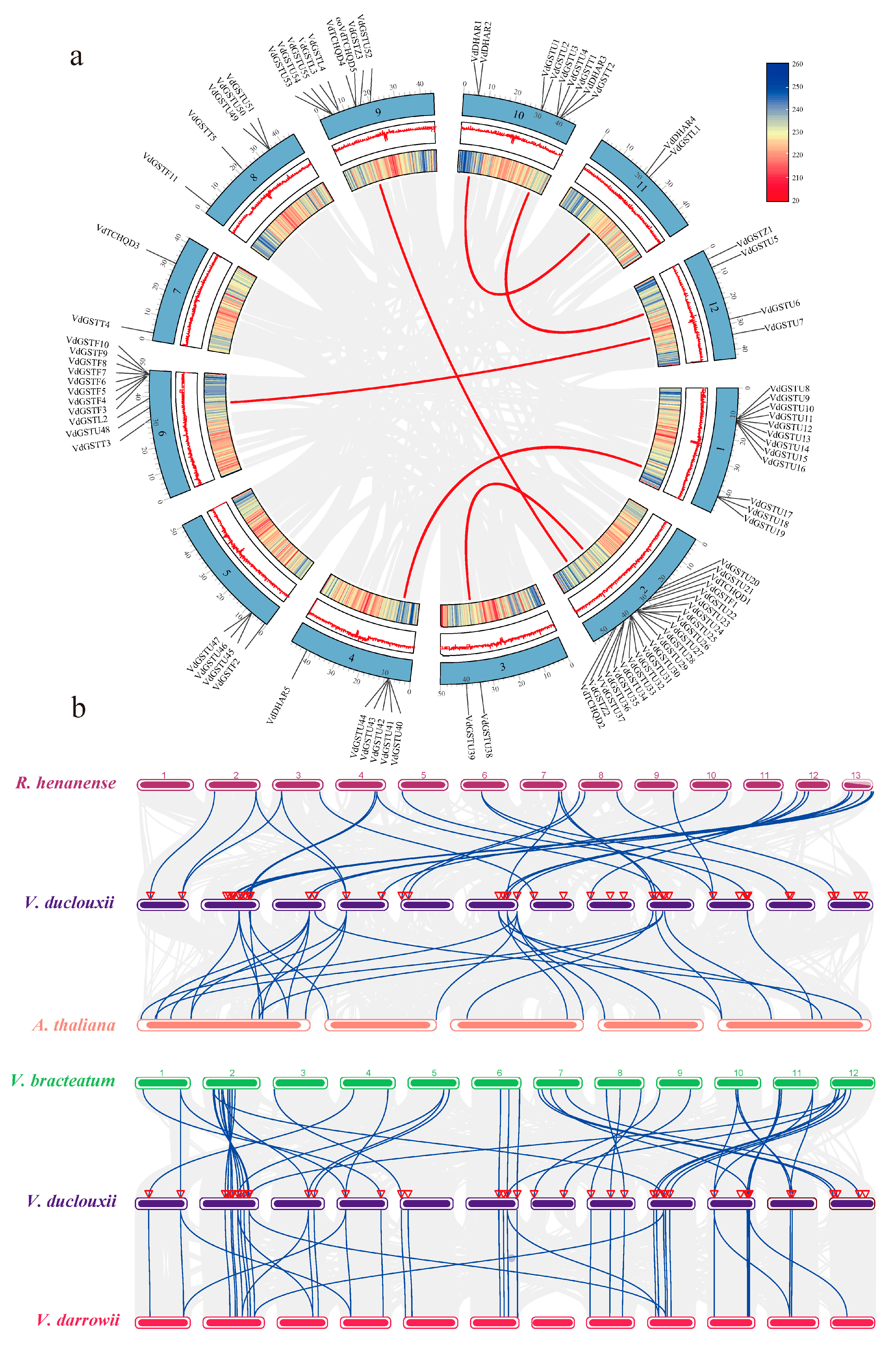 Plants 13 01497 g004