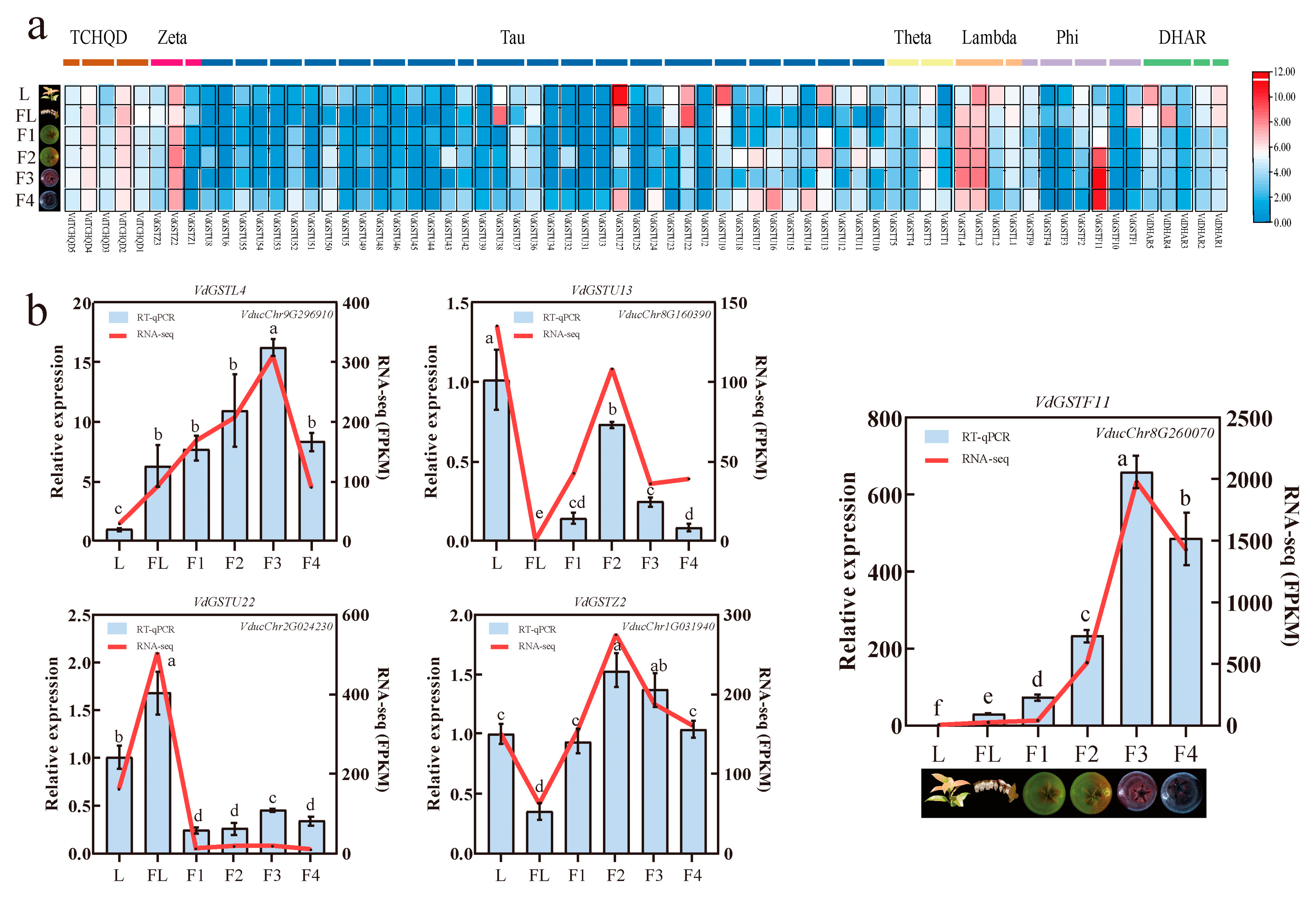 Plants 13 01497 g007