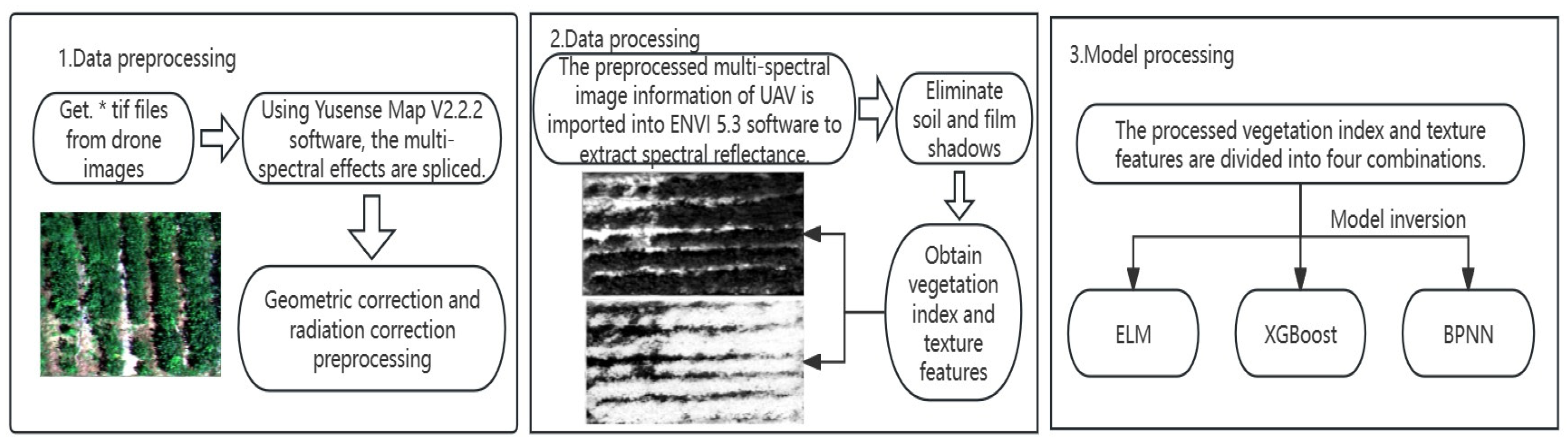 Plants 13 01498 g005