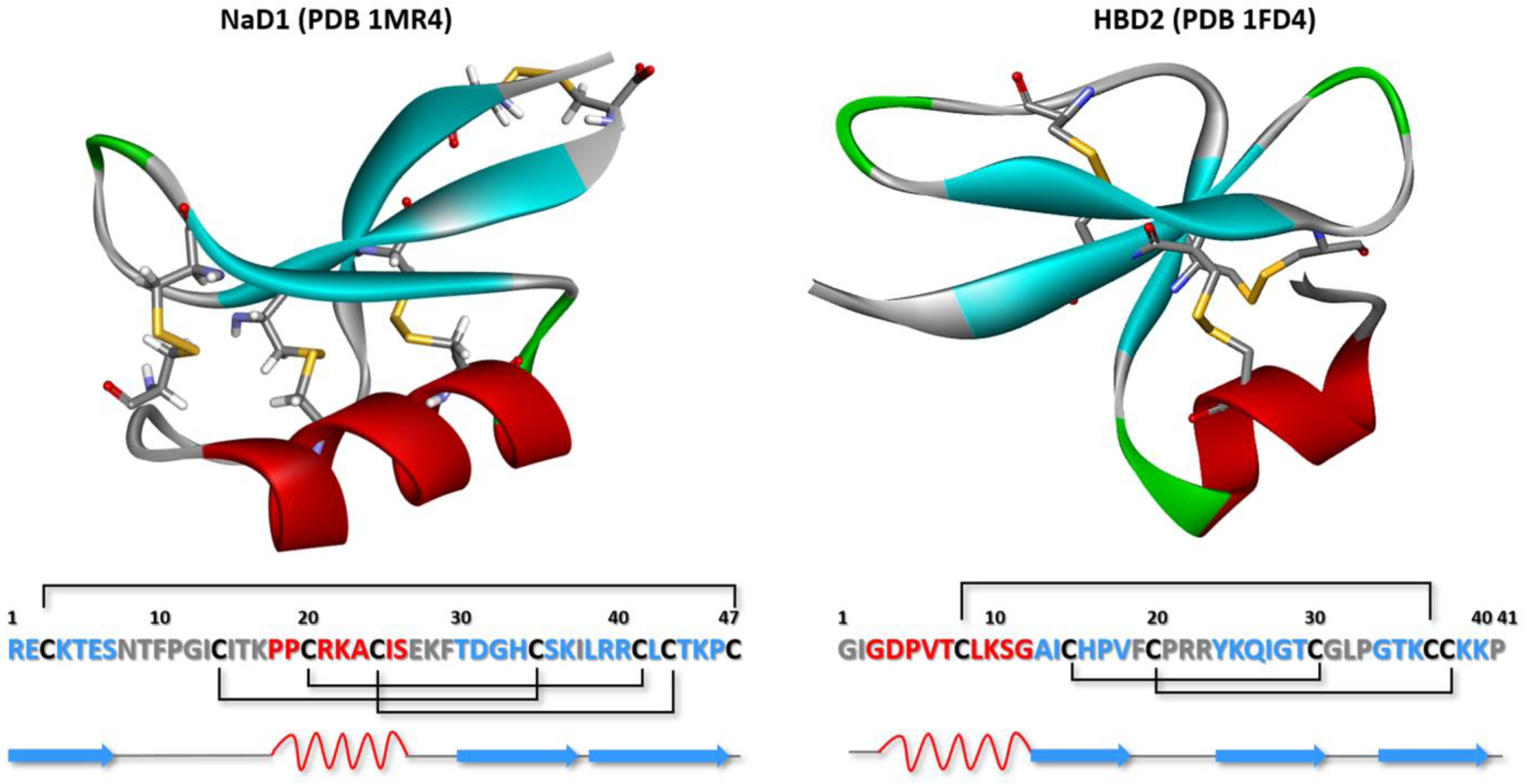 Plants 13 01499 g002