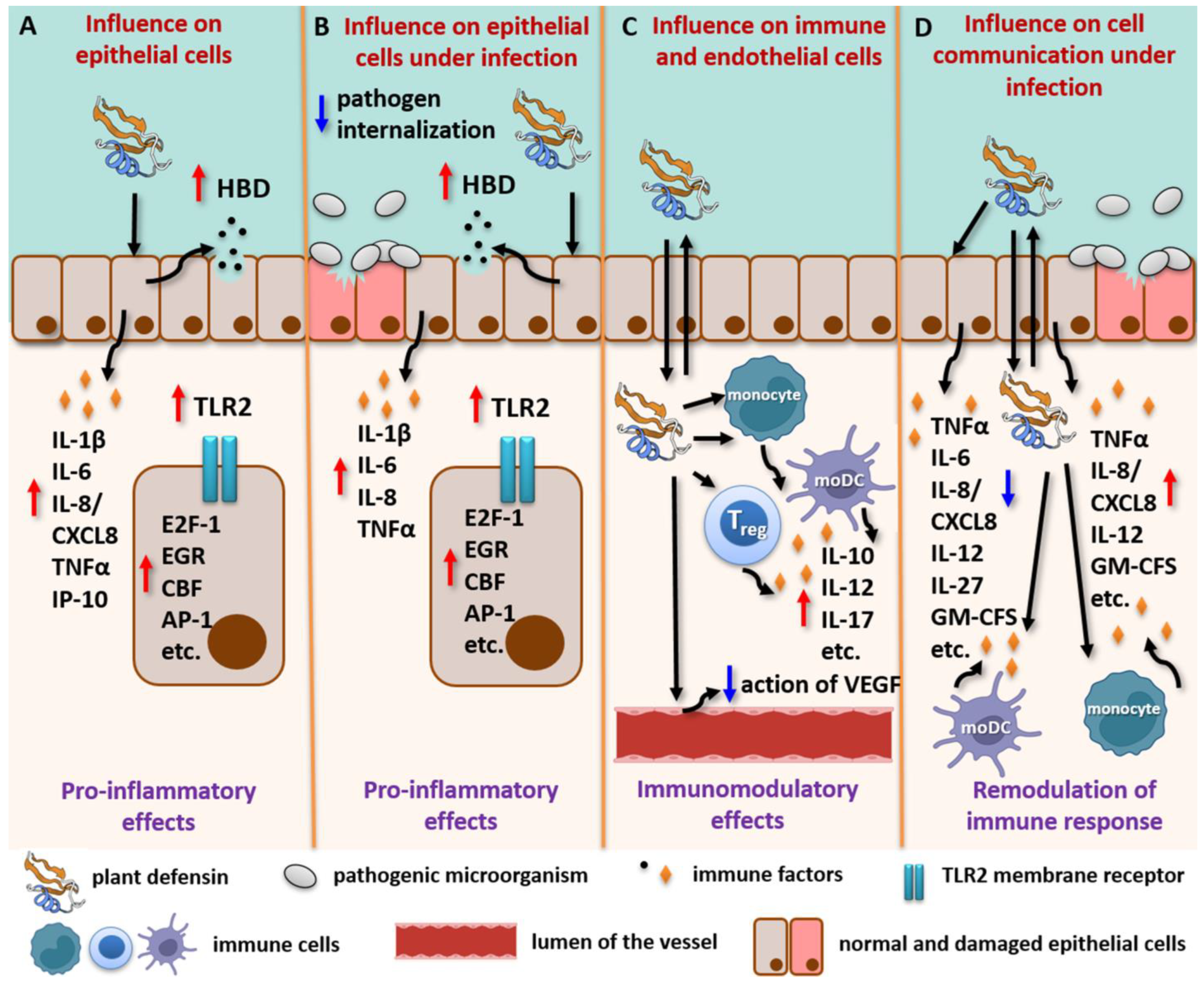 Plants 13 01499 g003