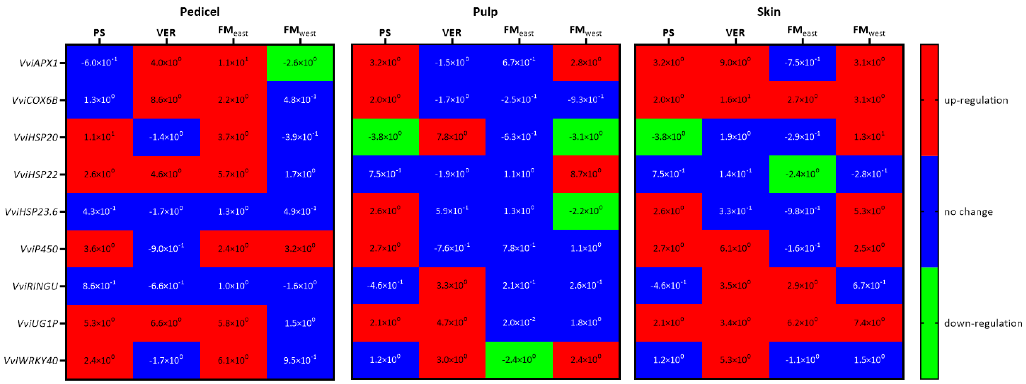 Plants 13 01500 g007 Plants 13 01500 g007