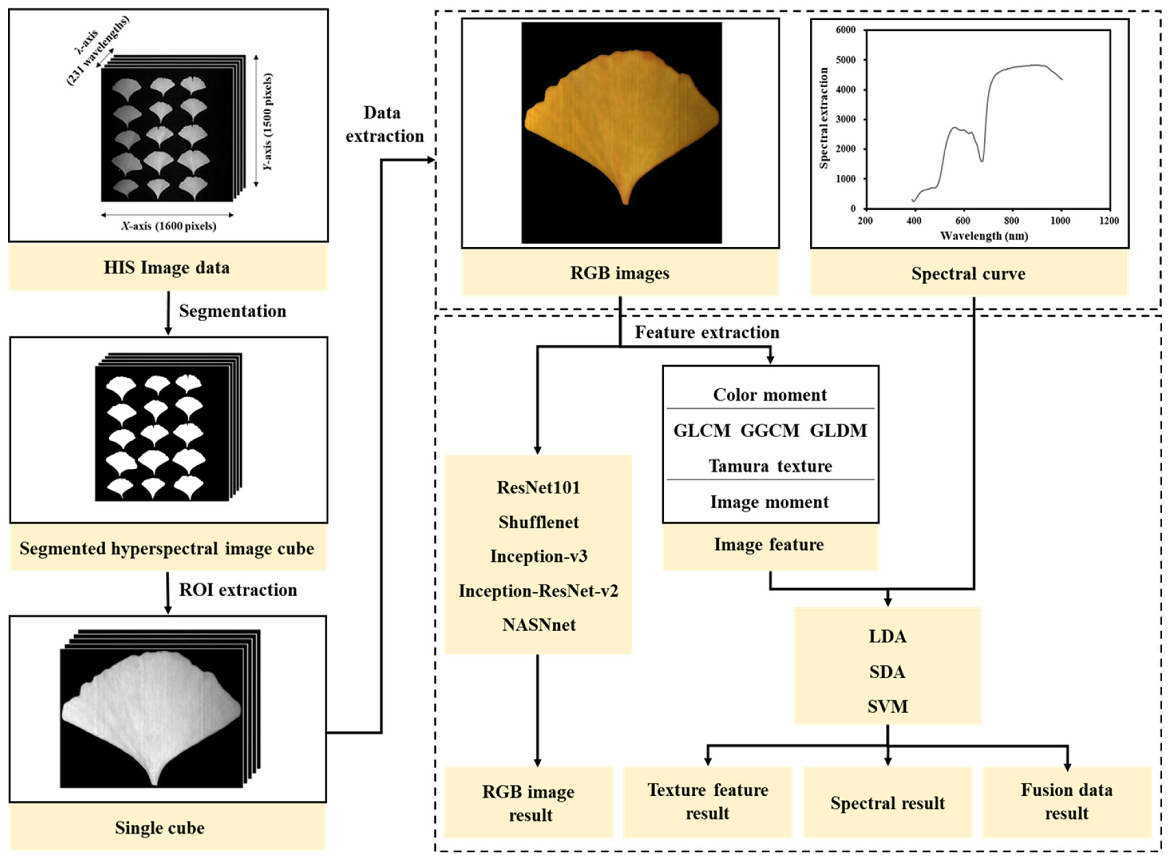 Plants 13 01501 g002