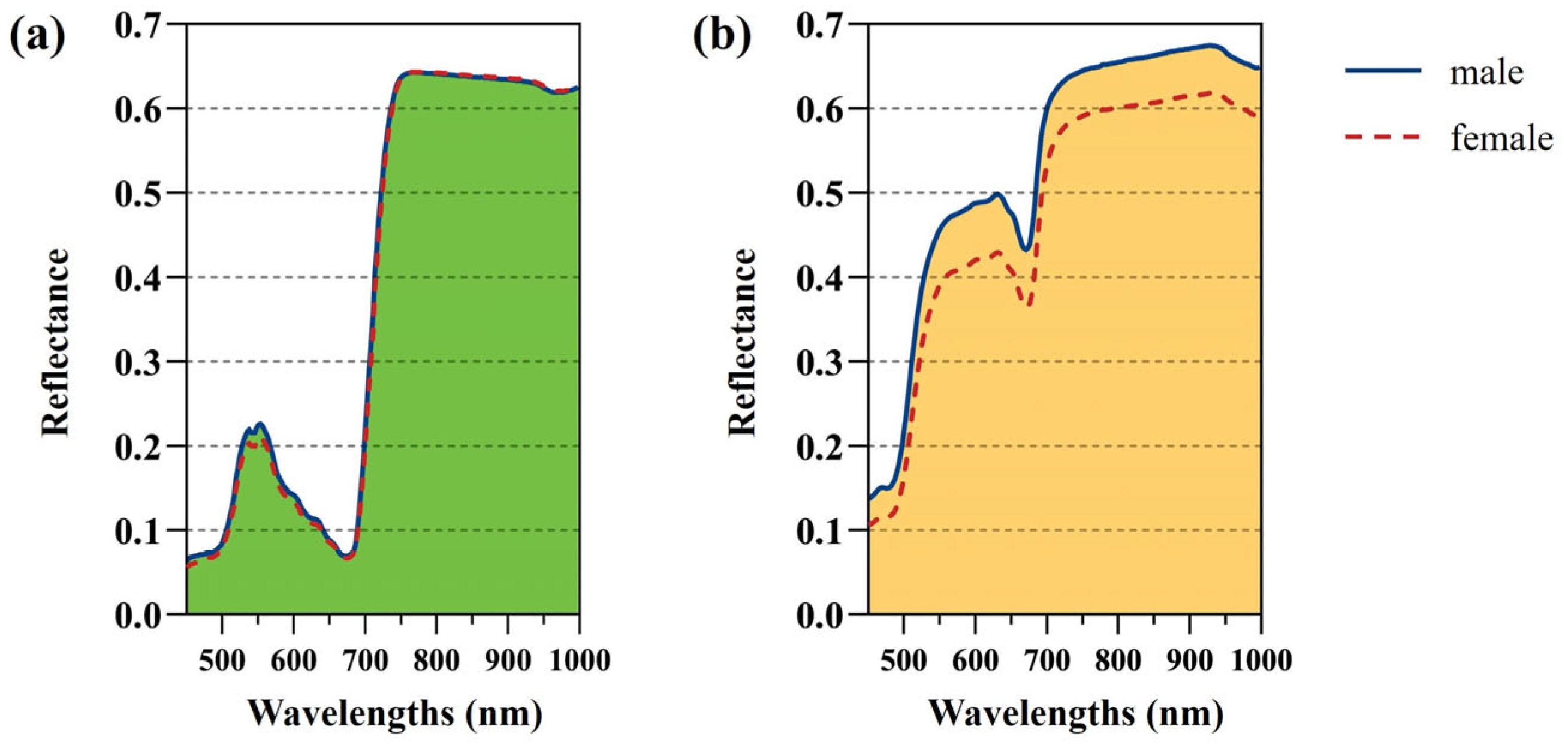 Plants 13 01501 g007
