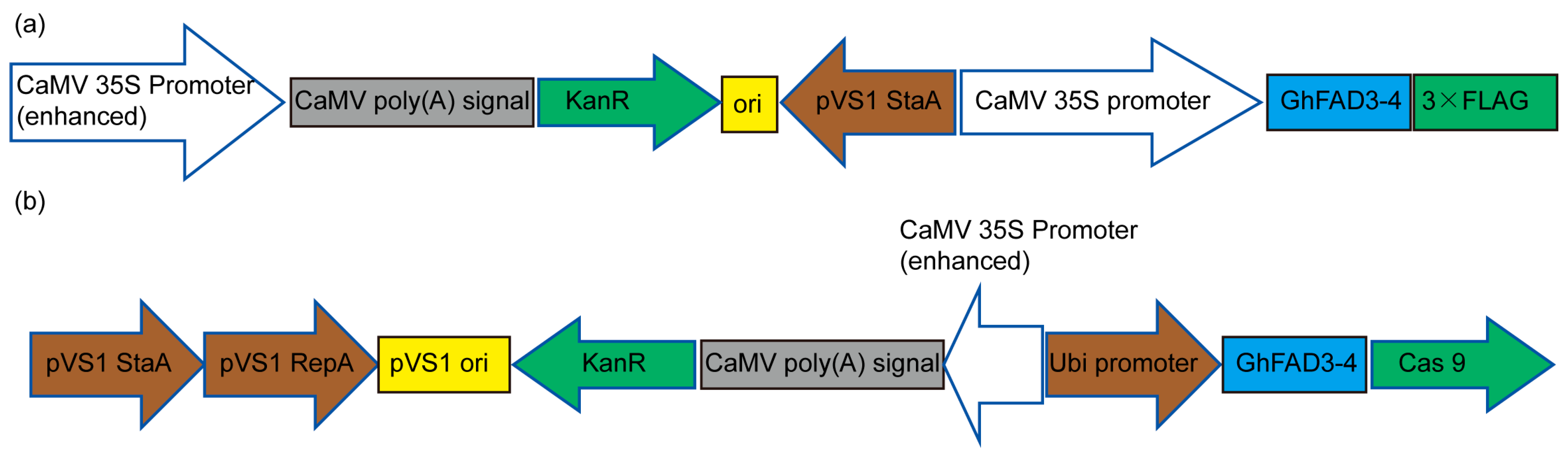 Plants 13 01510 g007