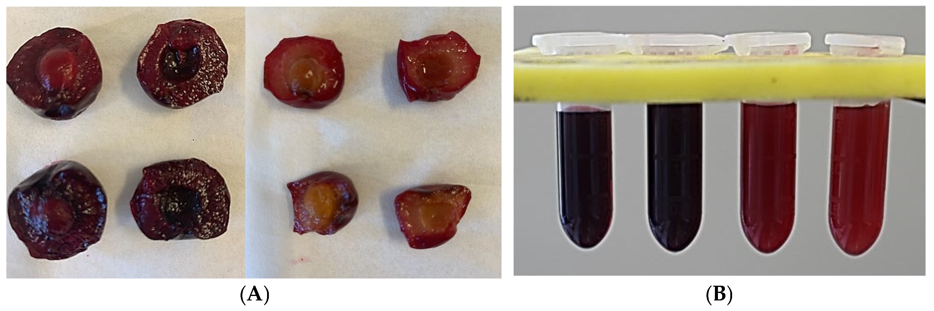 Plants 13 01511 g001