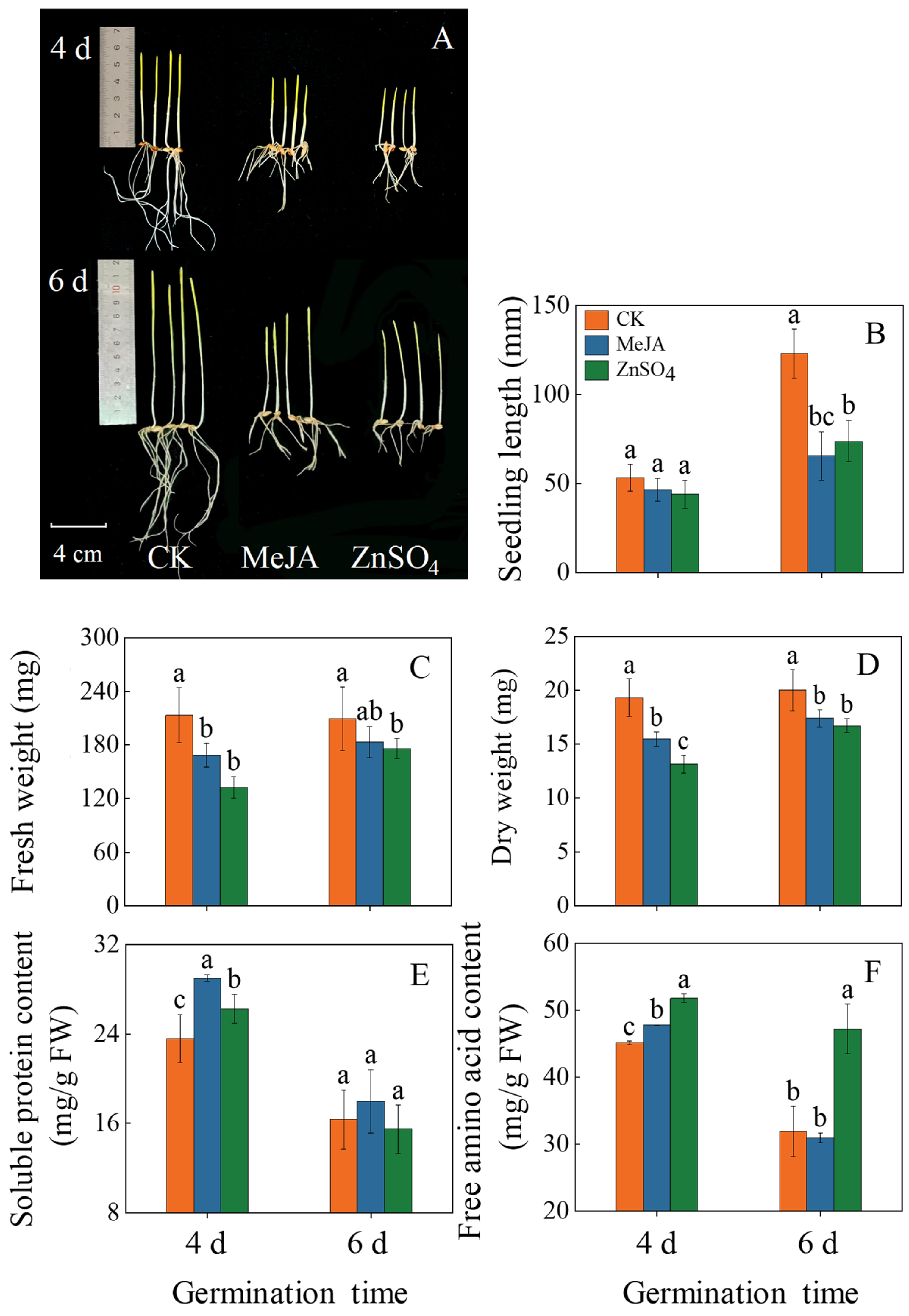 Plants 13 01512 g001