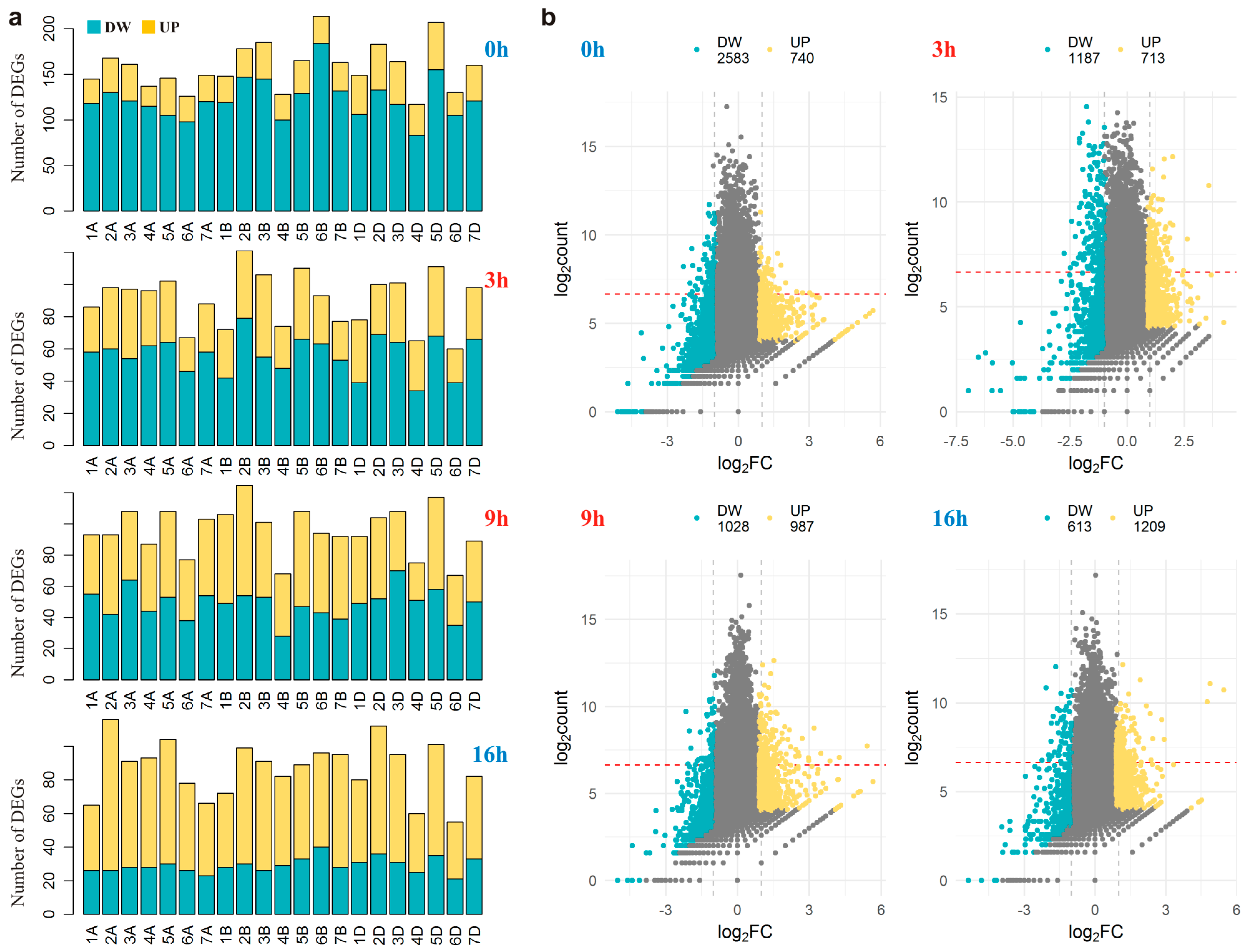 Plants 13 01514 g002