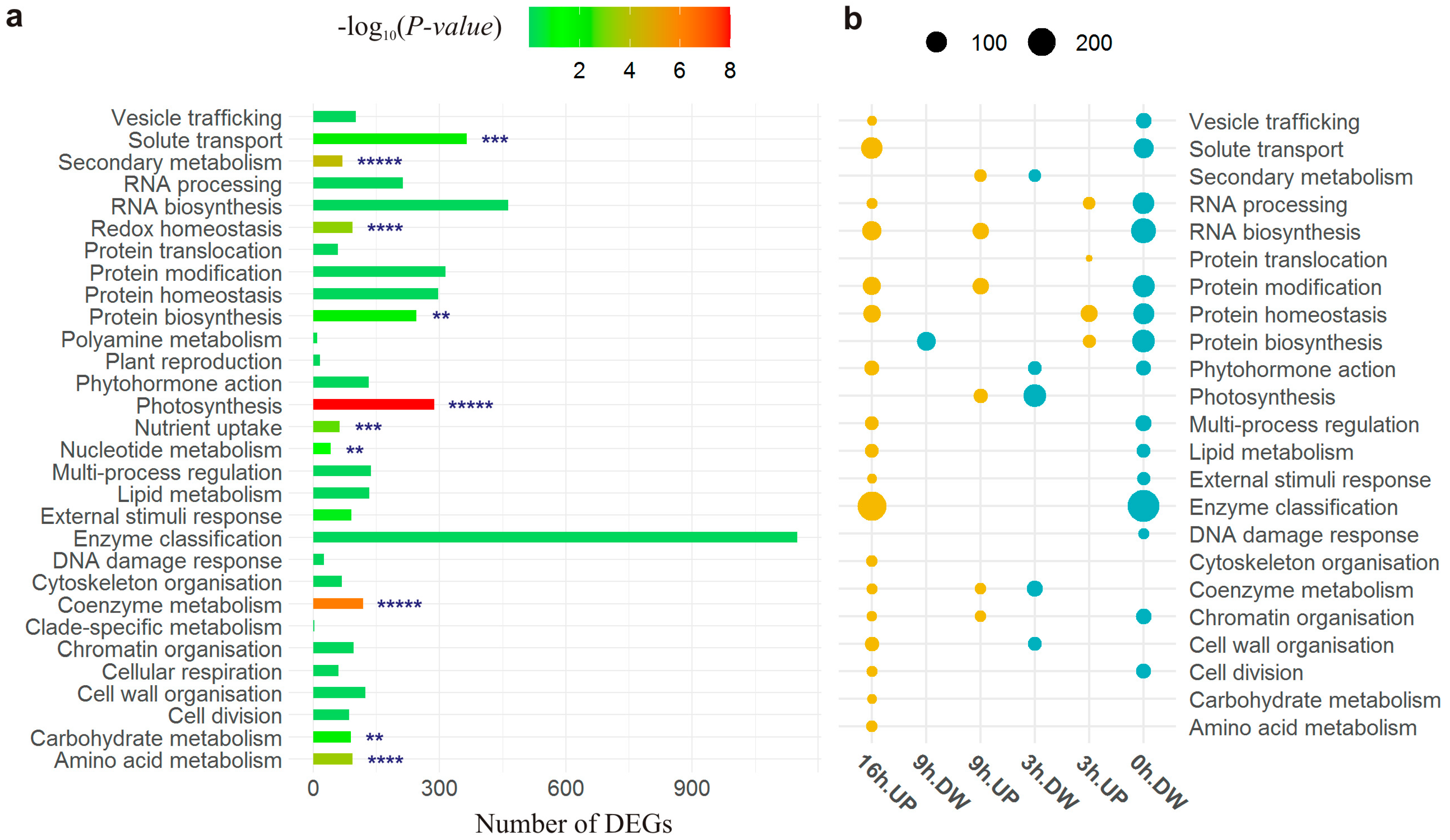 Plants 13 01514 g003