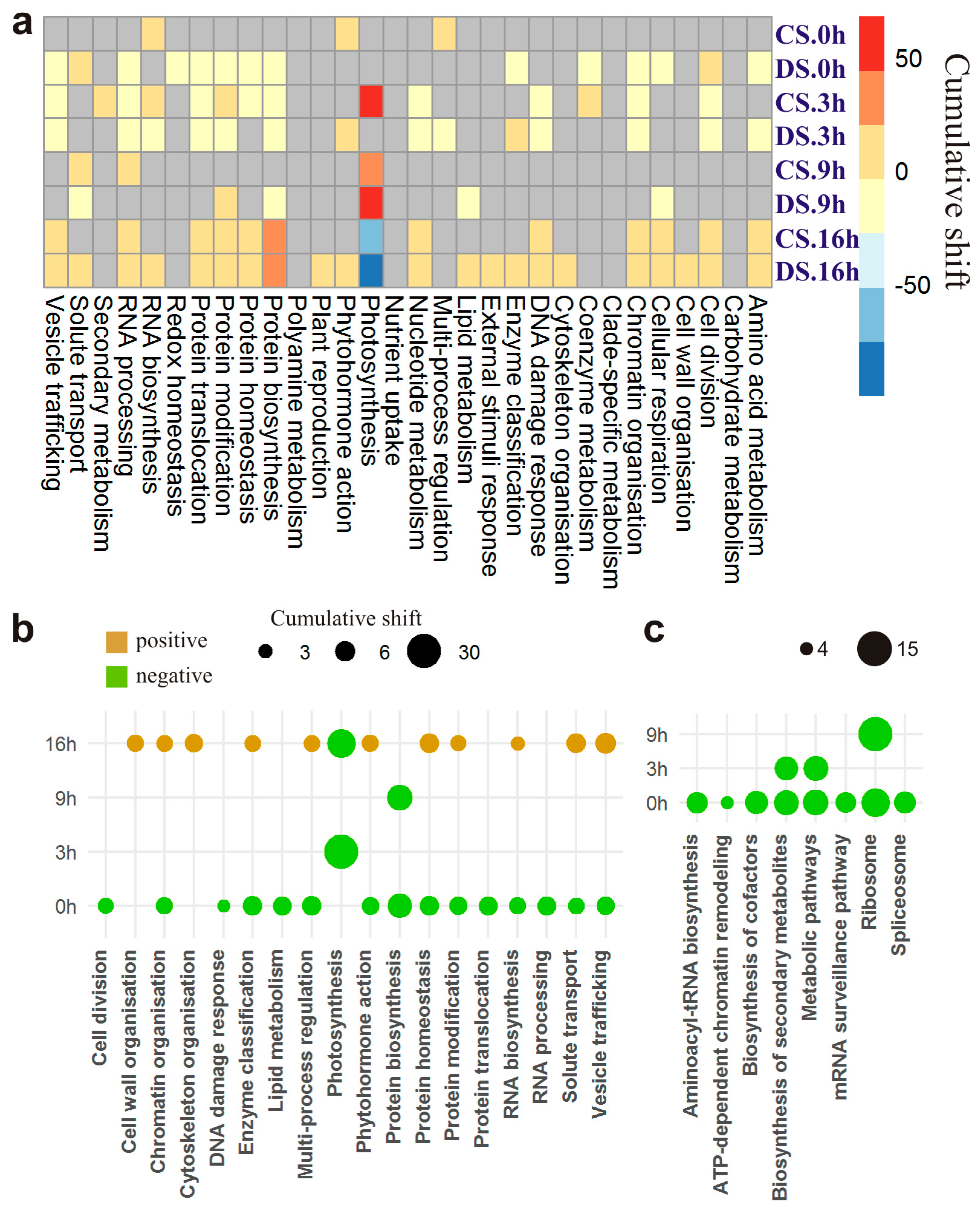 Plants 13 01514 g005