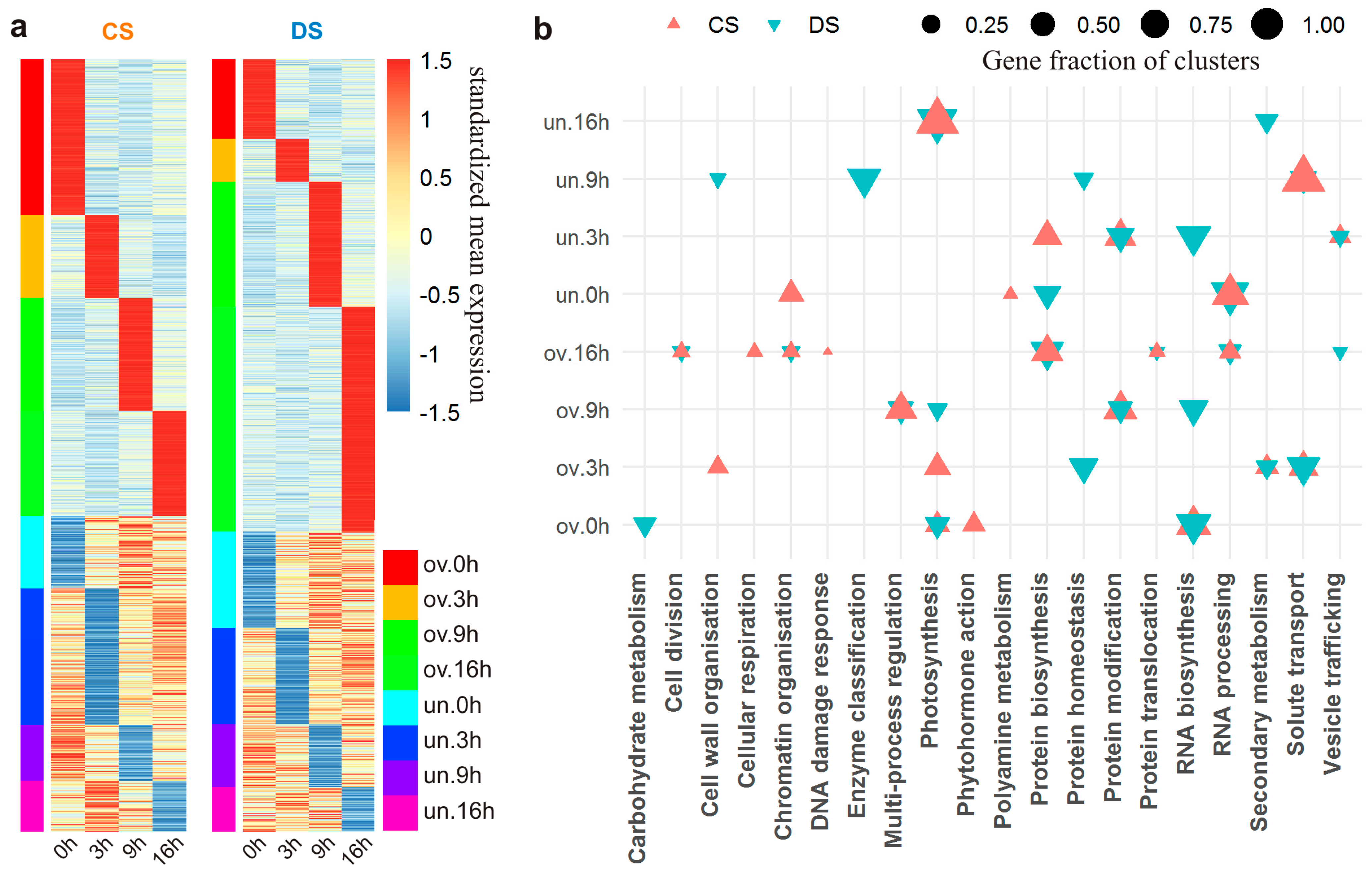 Plants 13 01514 g007