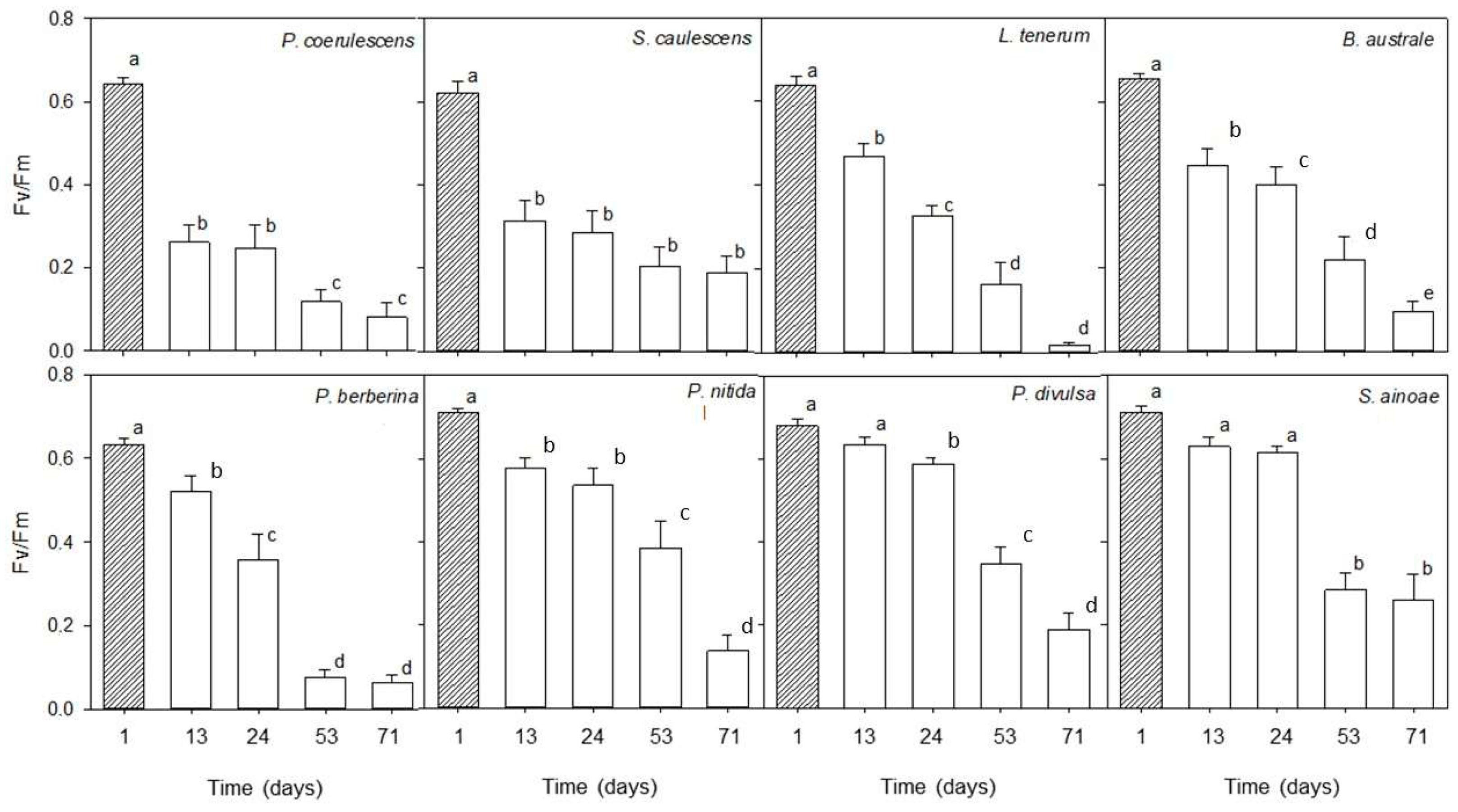 Plants 13 01519 g001