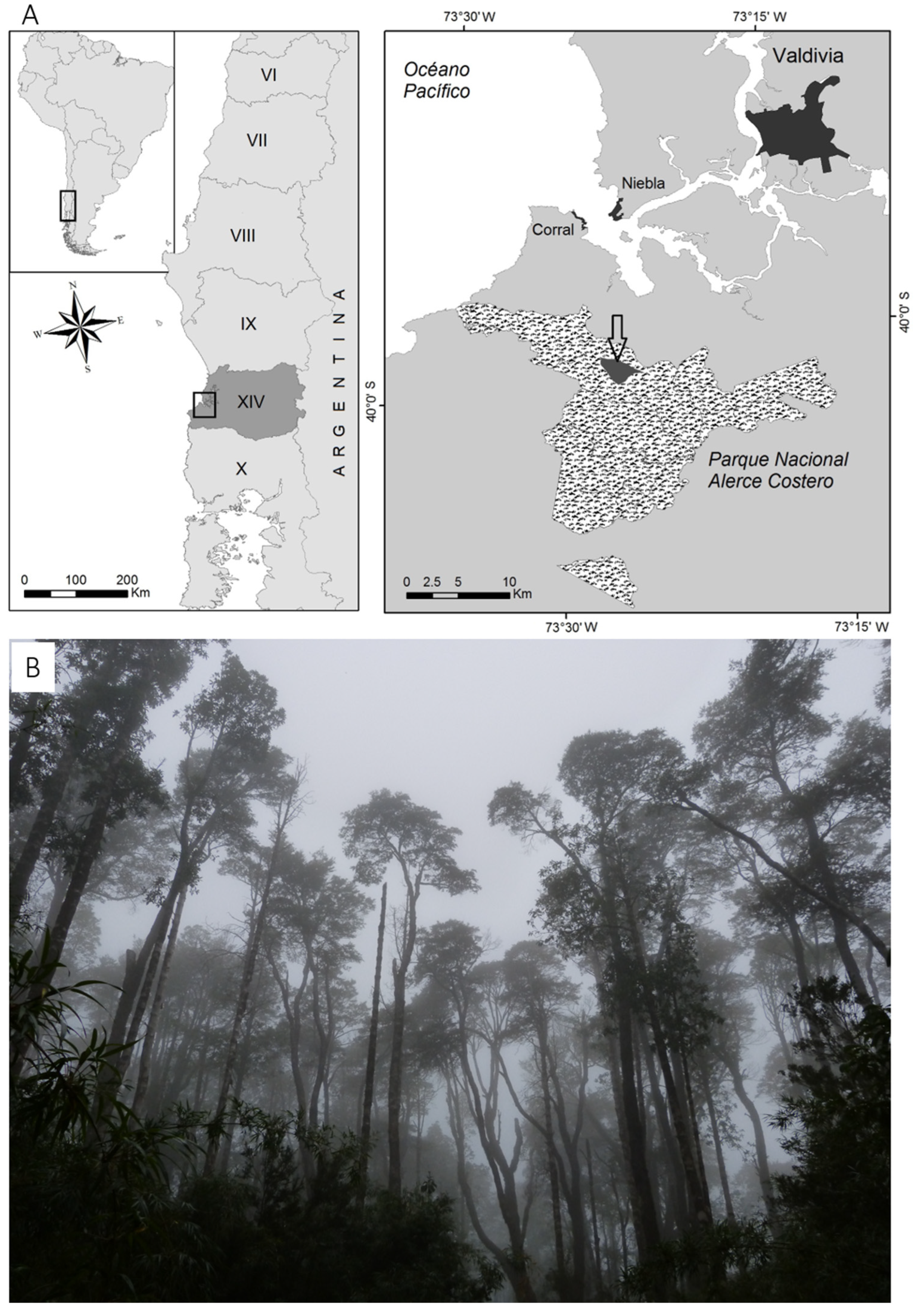 Plants 13 01519 g002