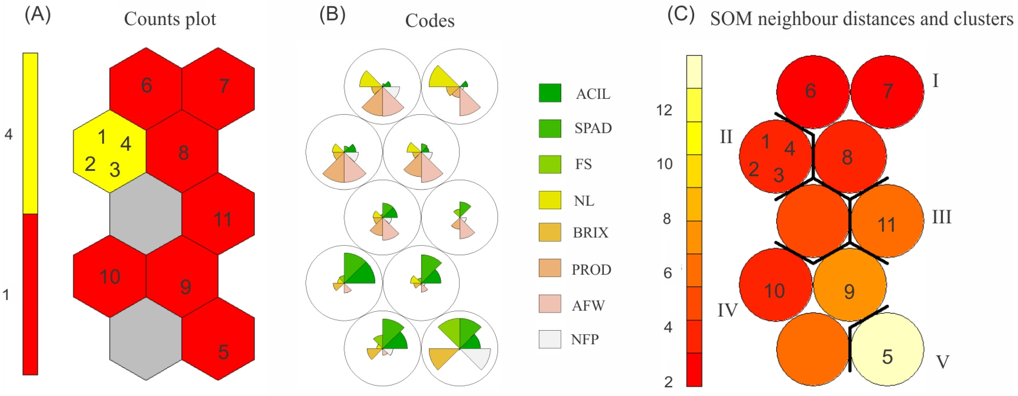 Plants 13 01522 g004